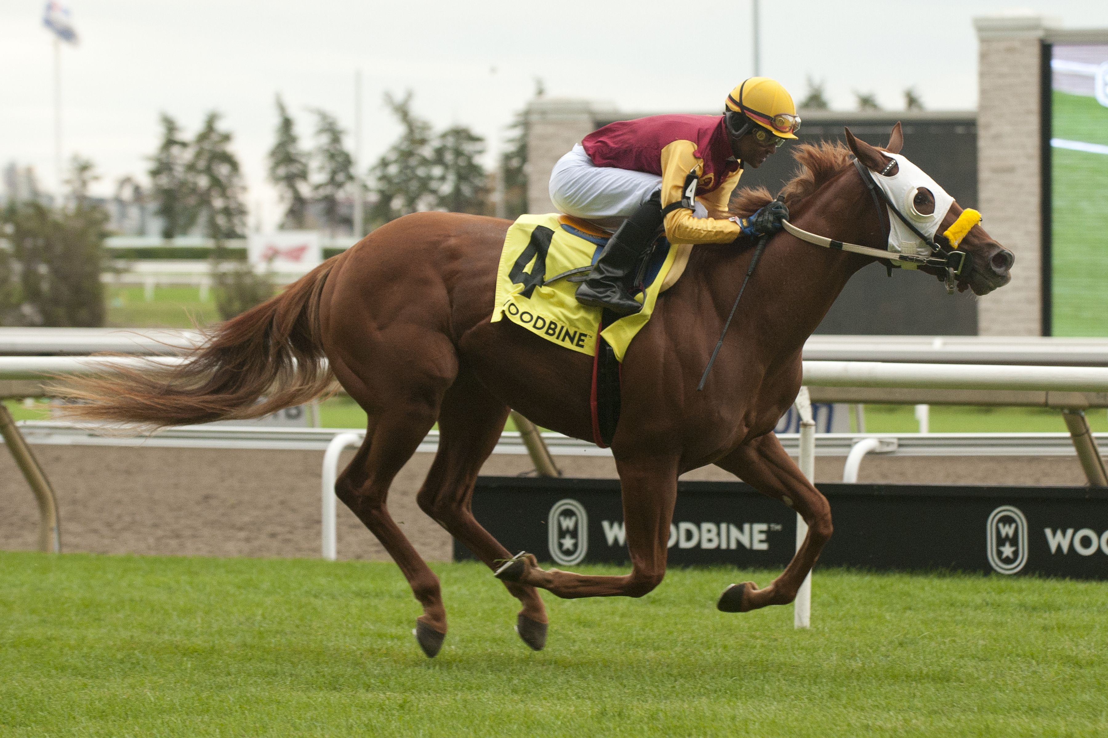 Poulin in O T wins the Bull Page at Woodbine Sept 24 2022