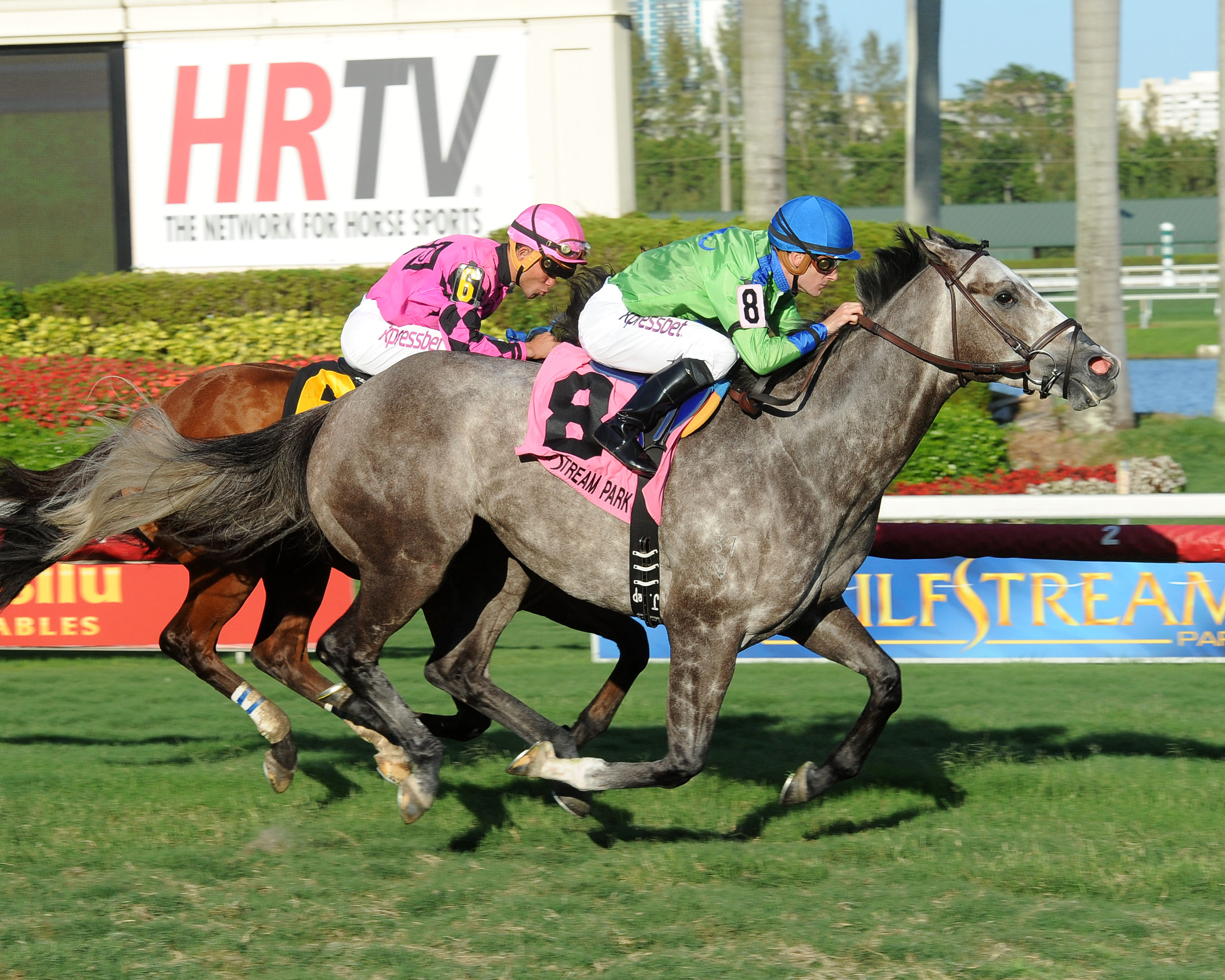 Power Alert wins 2015 Silks Run