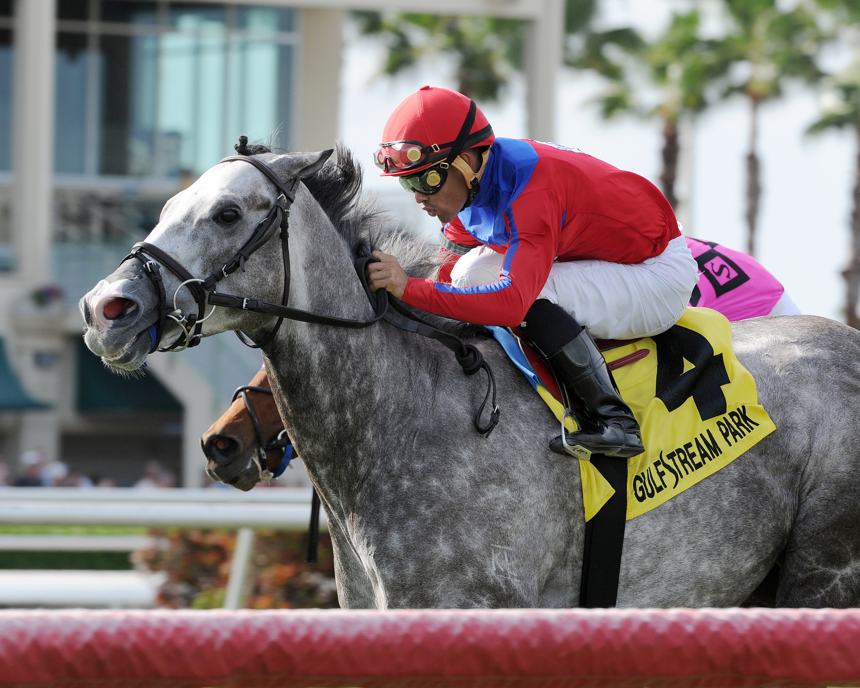 Power Alert wins the Silks Run Stakes