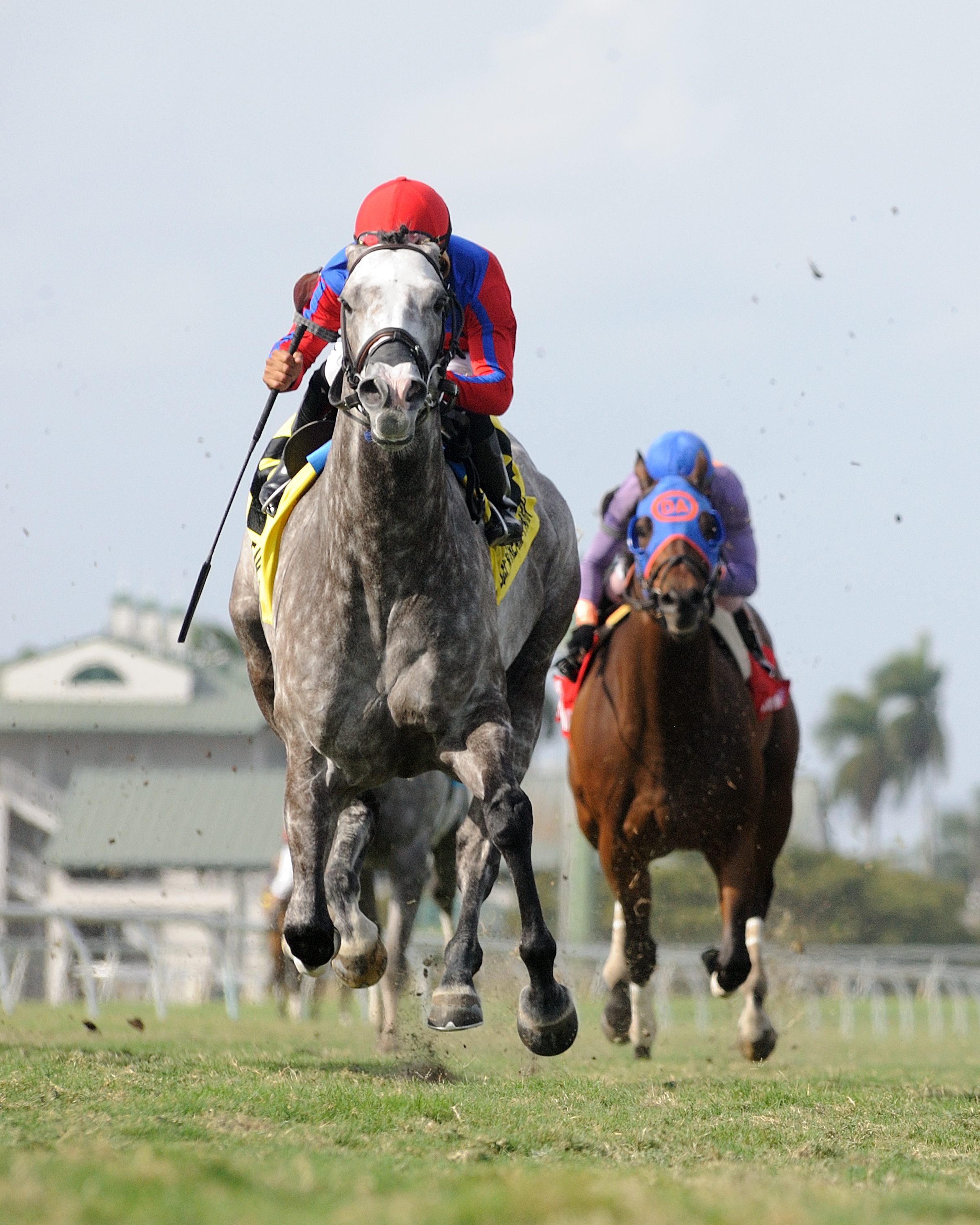 Power Alert wins the 2016 Silks Run Stakes