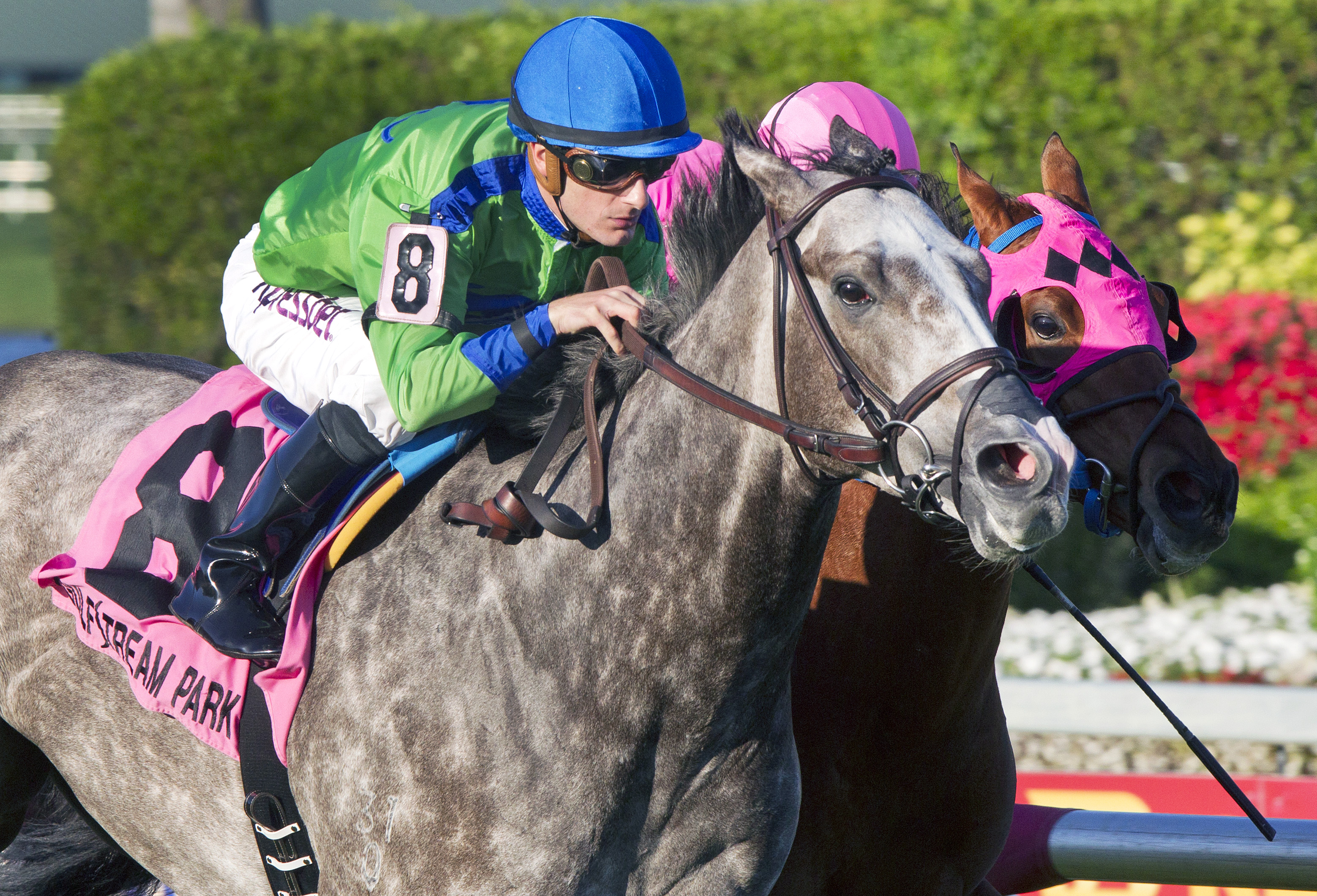 Power Alert wins the Silks Run