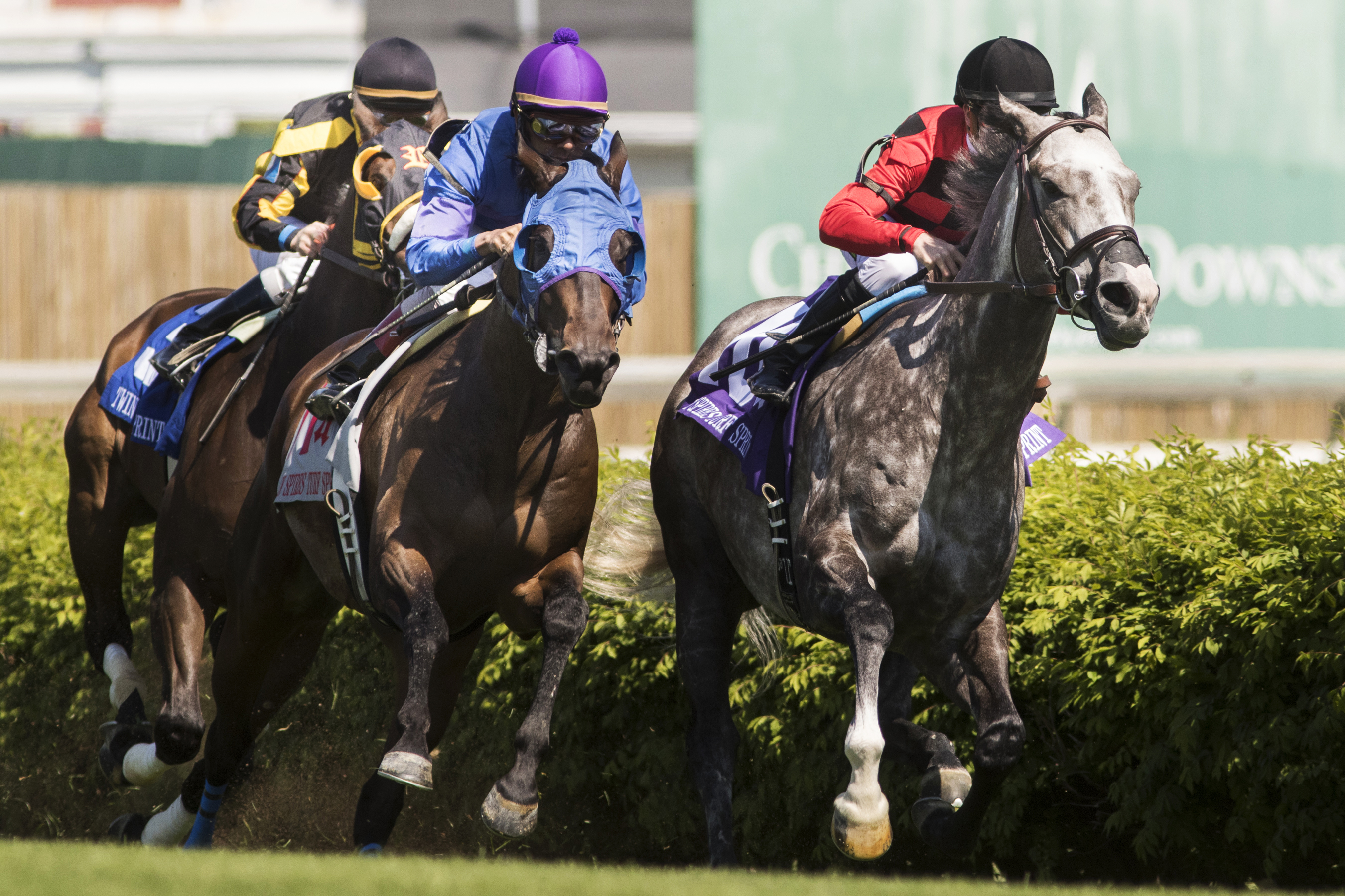 Power Alert and Something Extra battle in the Twin Spires