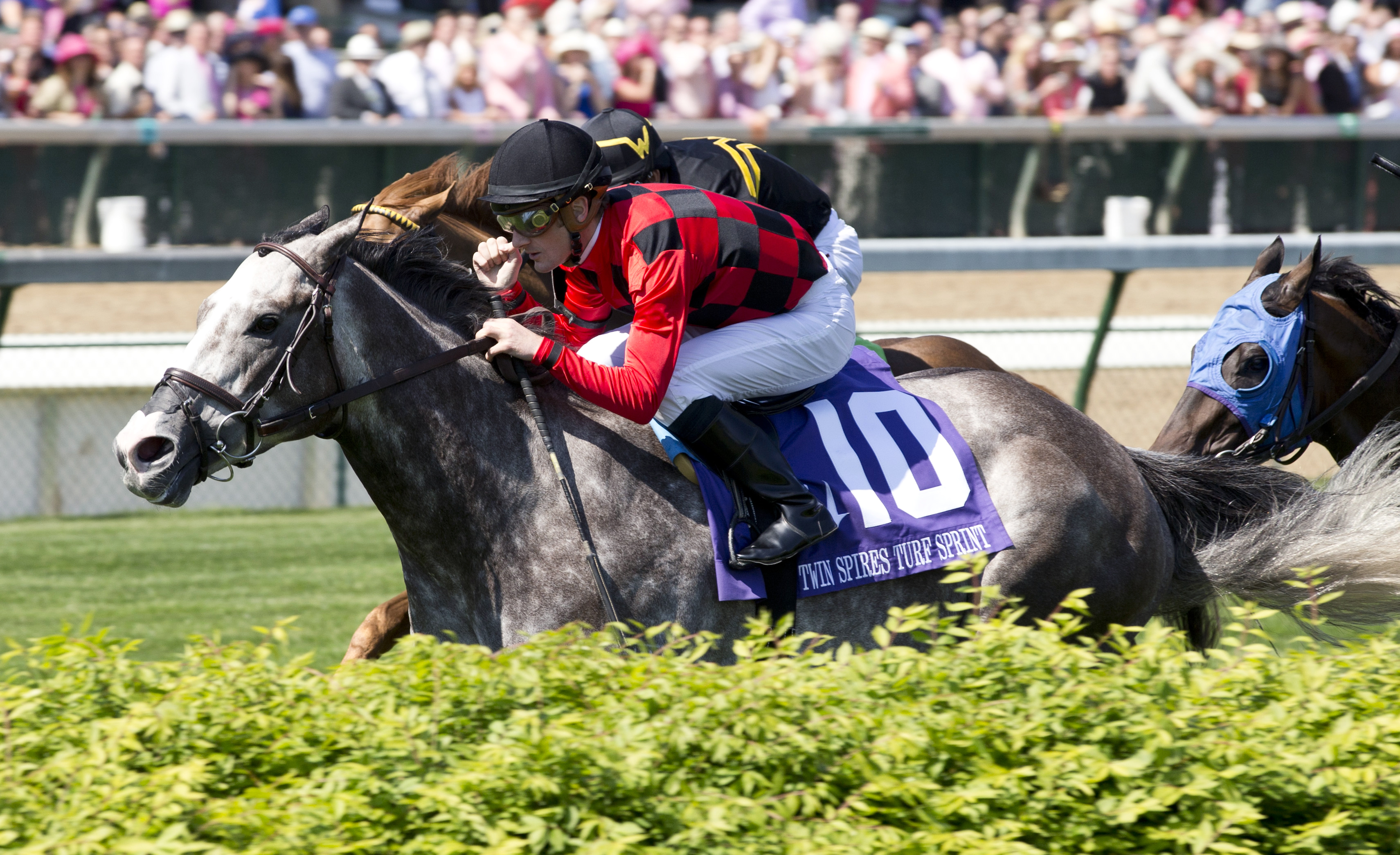 Power Alert wins the Twin Spires Turf Sprint