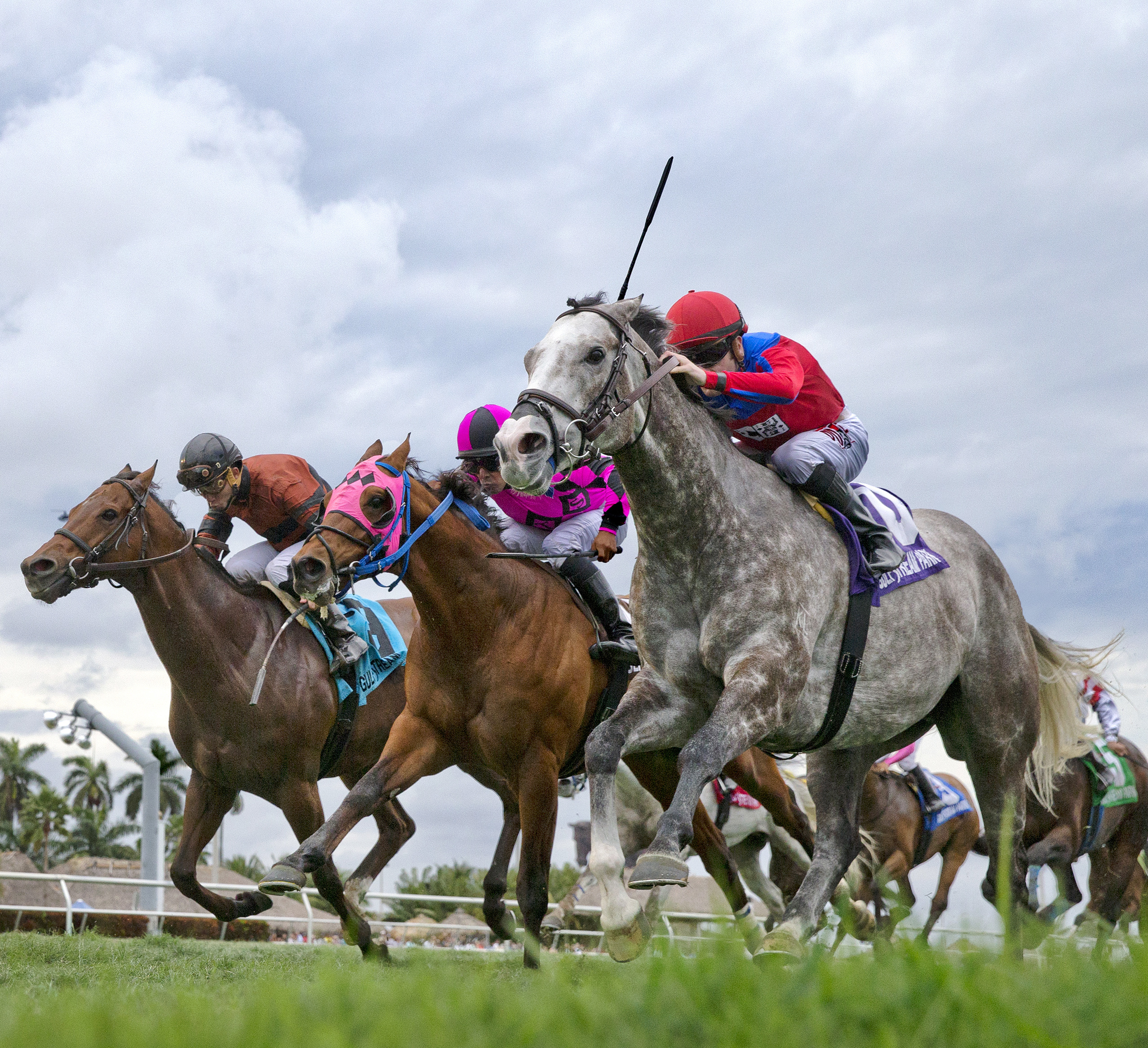Power Alert wins the Gulfstream Park Turf Sprint Stakes