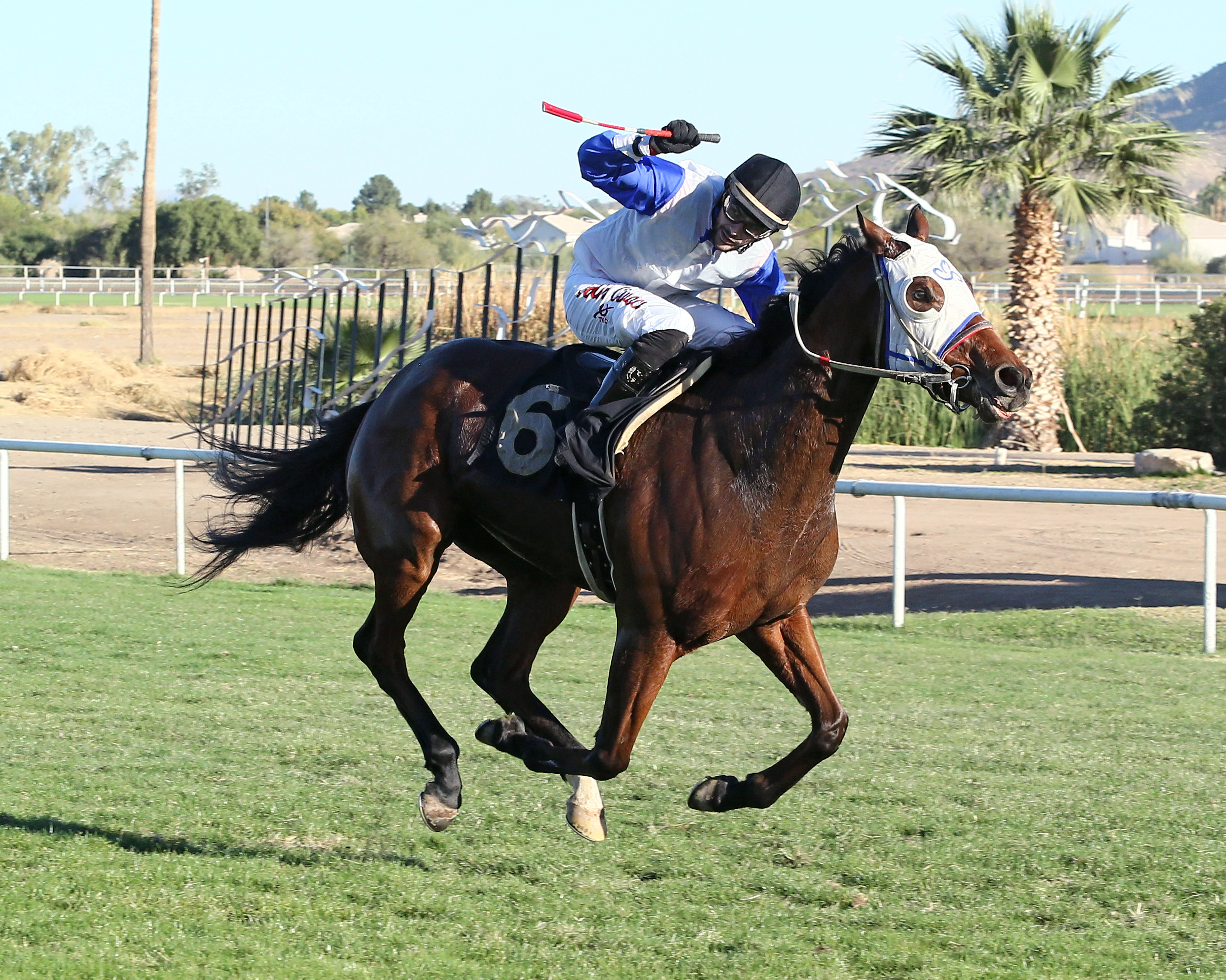 Power Corrupt wins the 2017 Walter R. Cluer Memorial Stakes