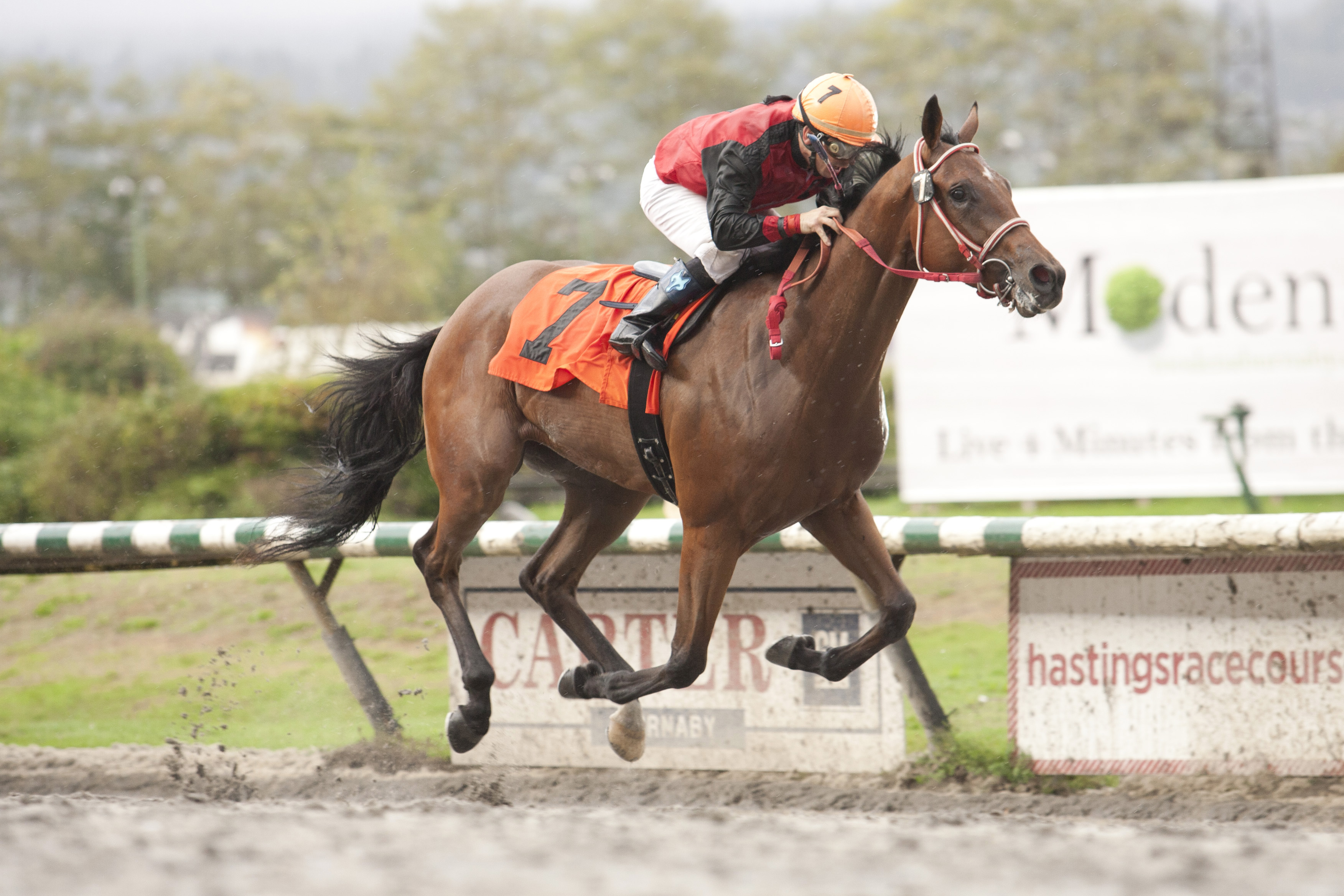 Power Corrupt wins the 2015 Jack Diamond Futurity