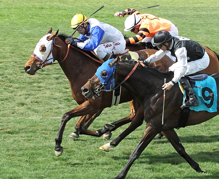 High Security finishes second in the Wildcat Handicap
