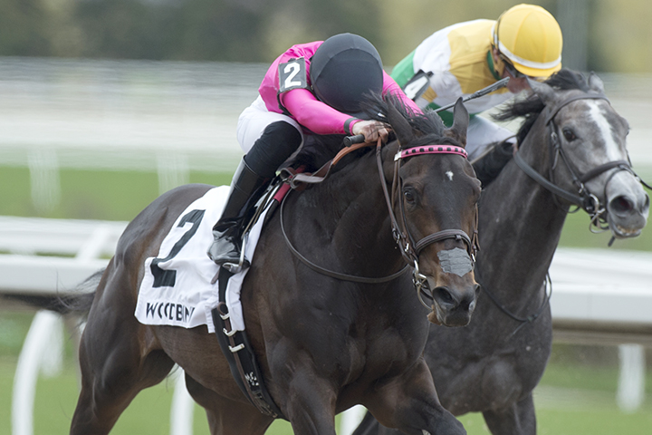 Power Gal wins the 2019 Selene Stakes