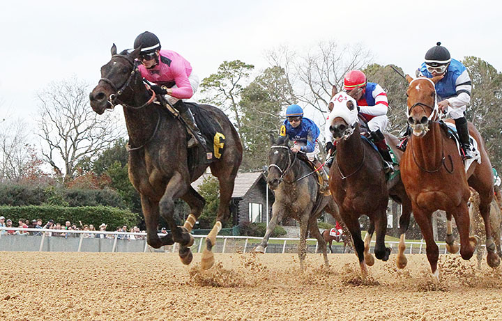 Power Gal wins the 2019 Martha Washington
