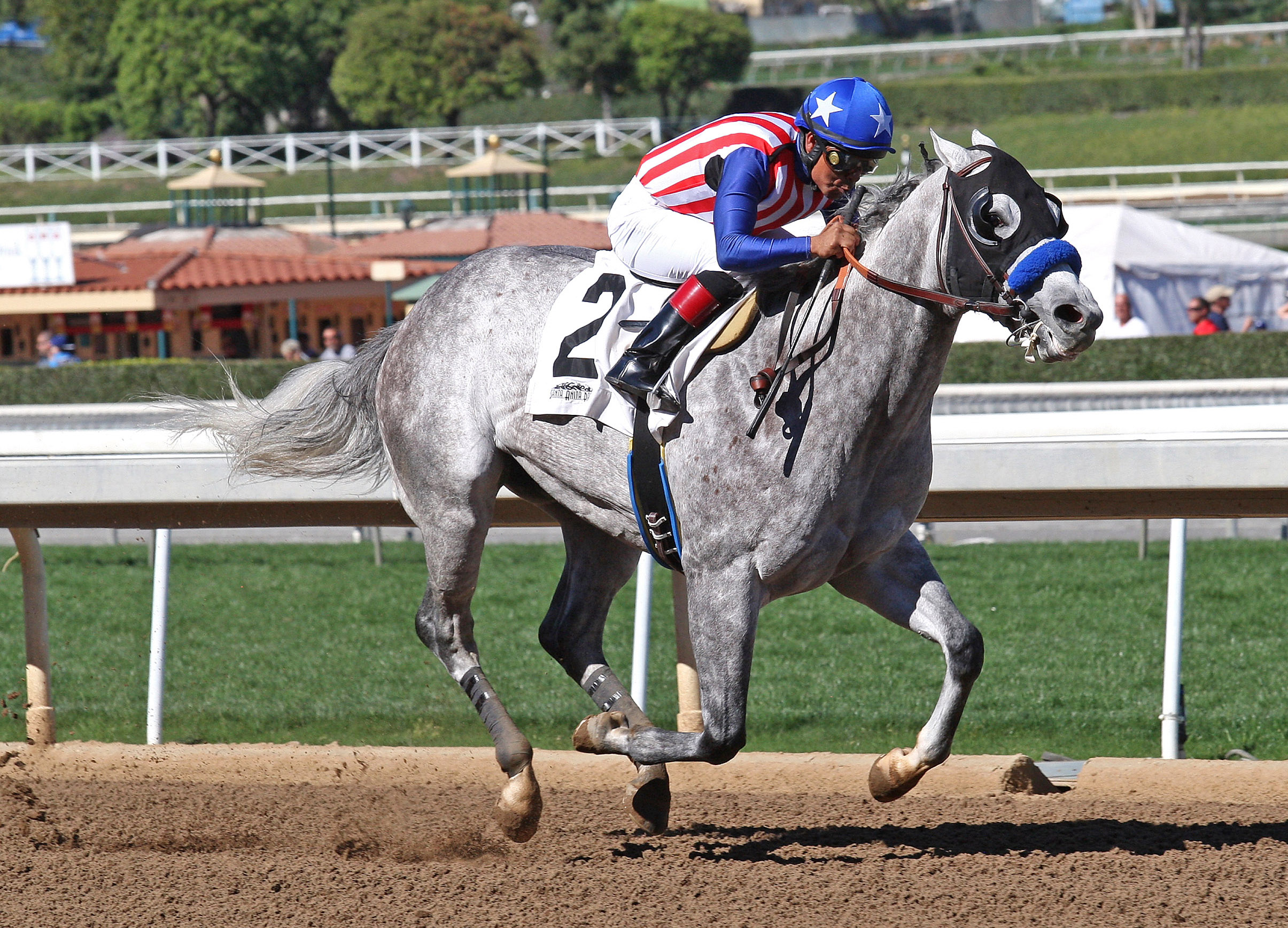 Power Jam wins a maiden race