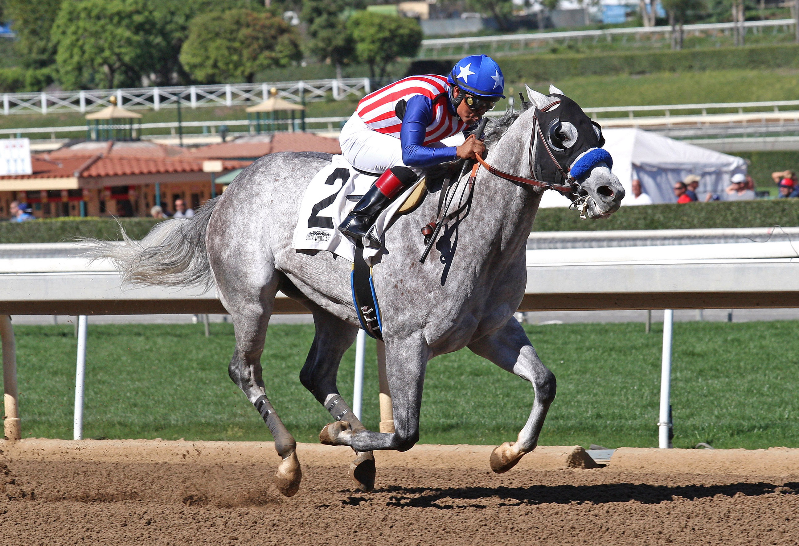 Power Jam wins his debut