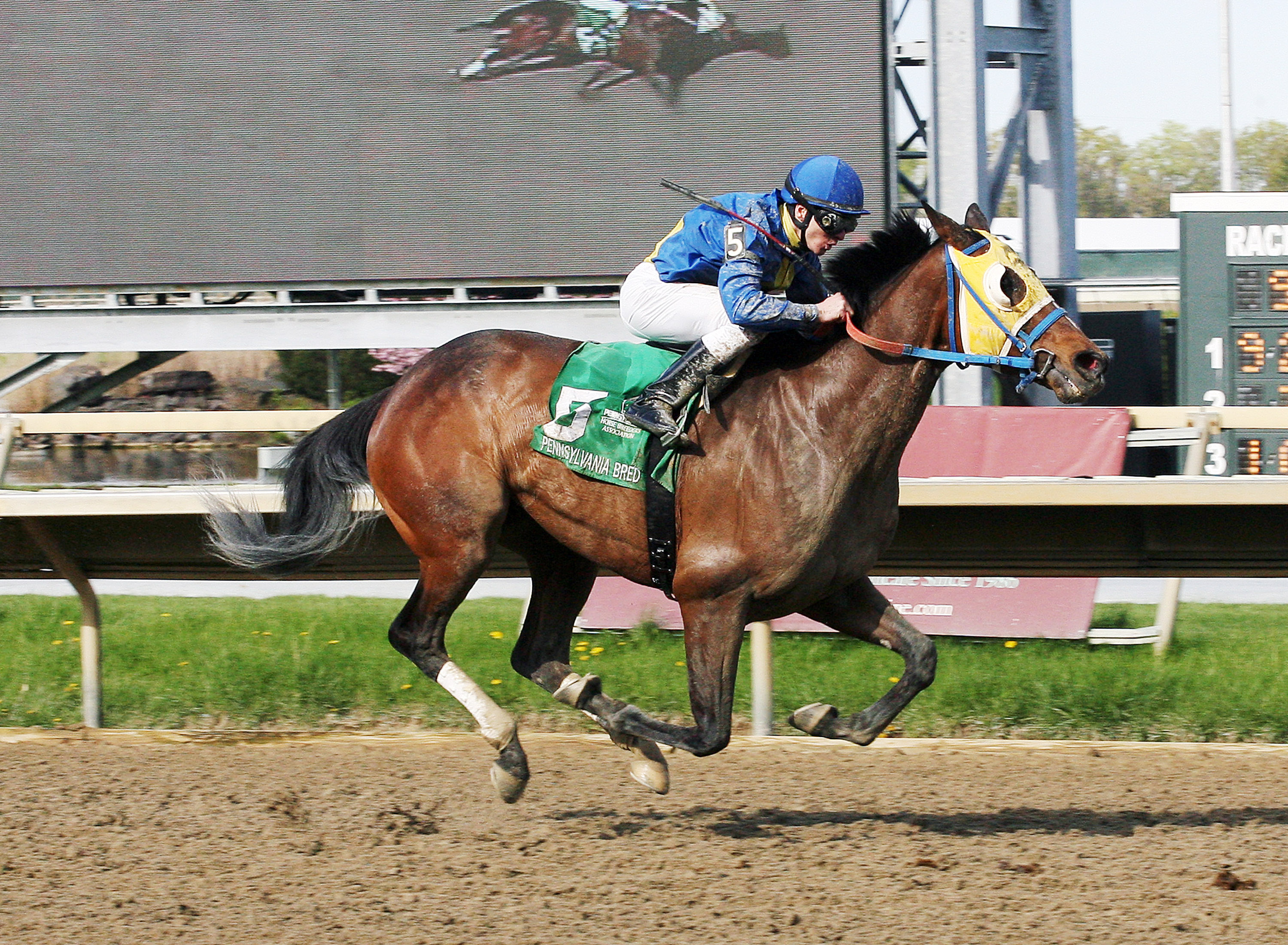 Power Of Snunner wins the Foxy J G Stakes