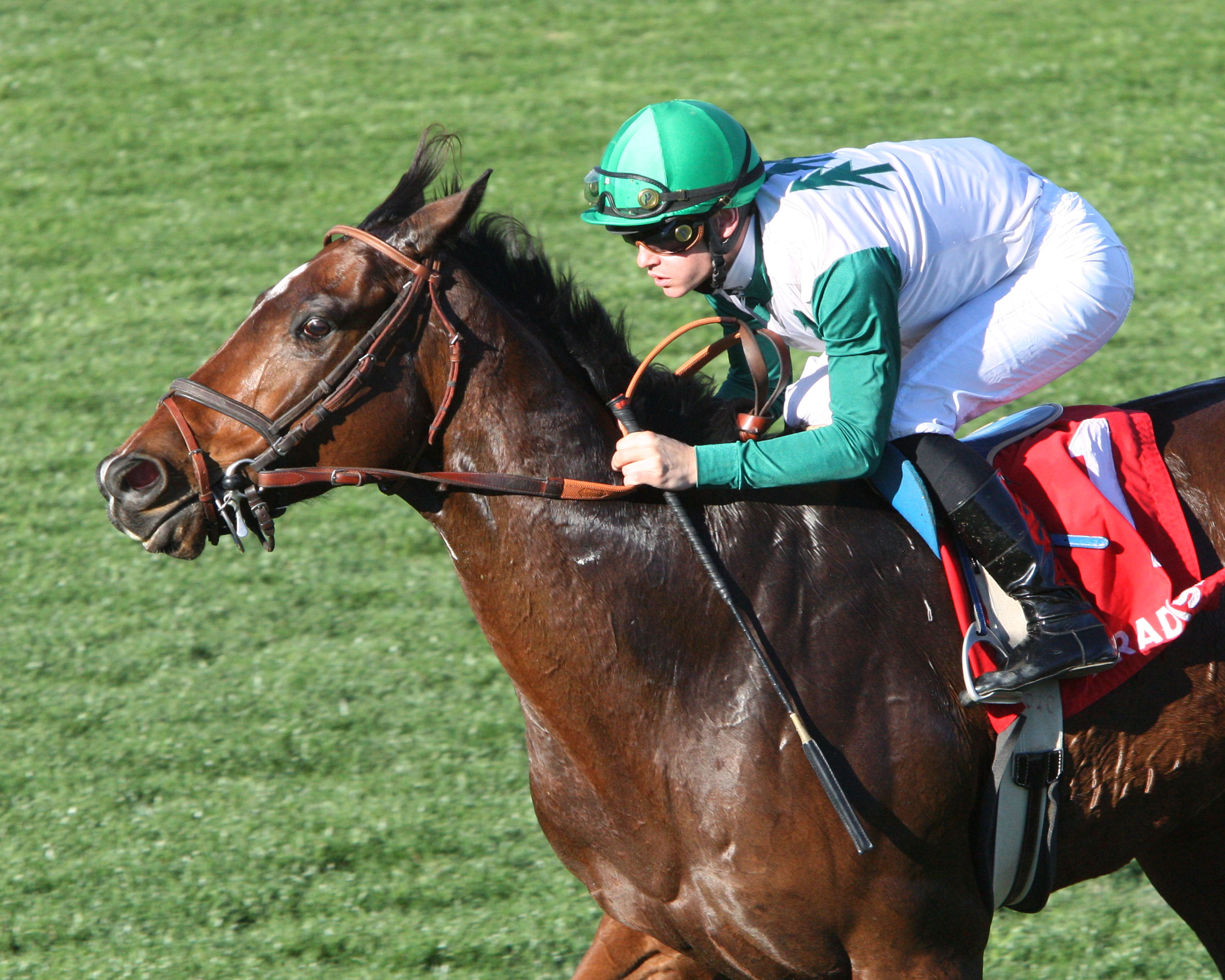 Power Ped wins the Cotton Fitzsimmons Mile