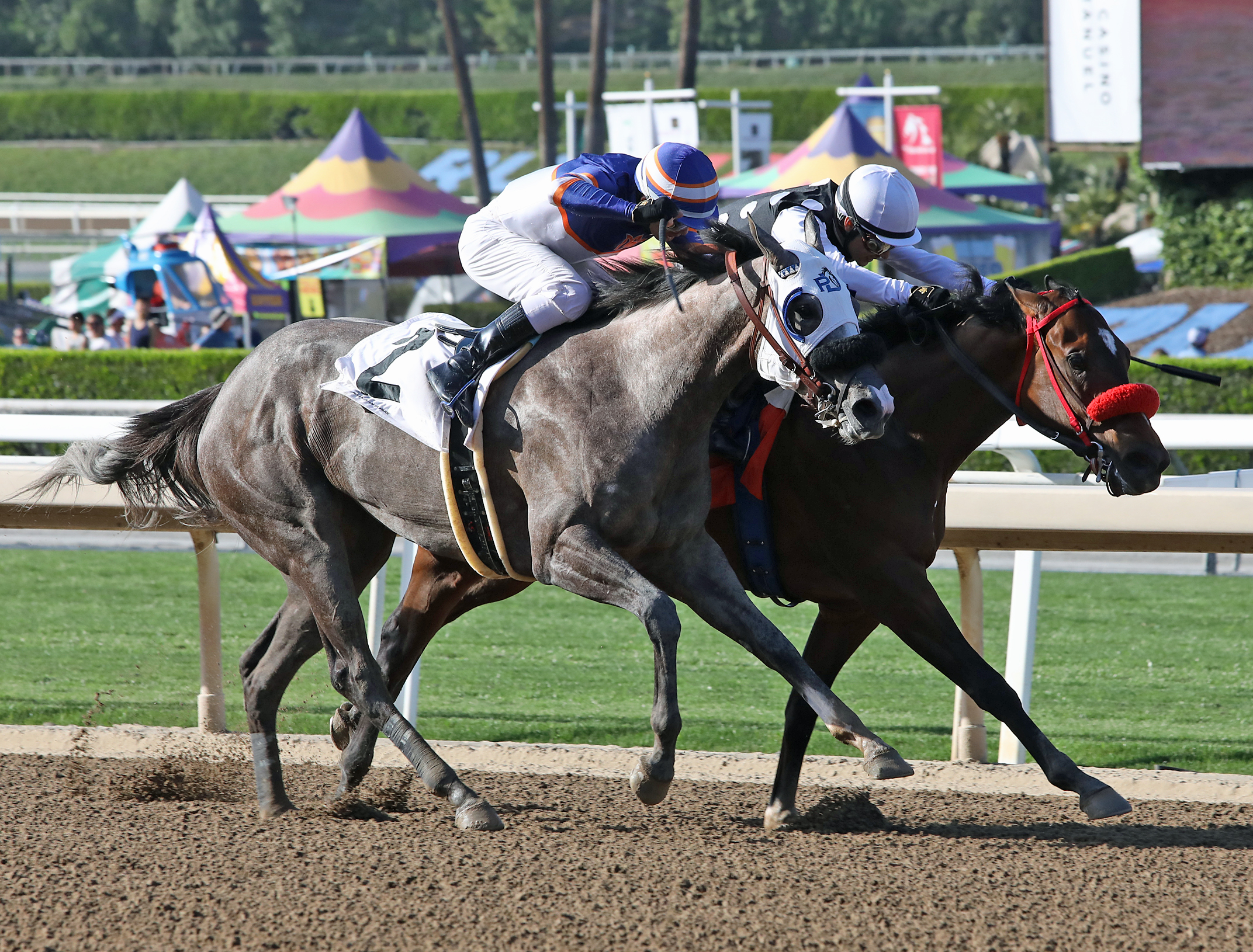 Power Surge wins the Evening Jewel 4-9-2022