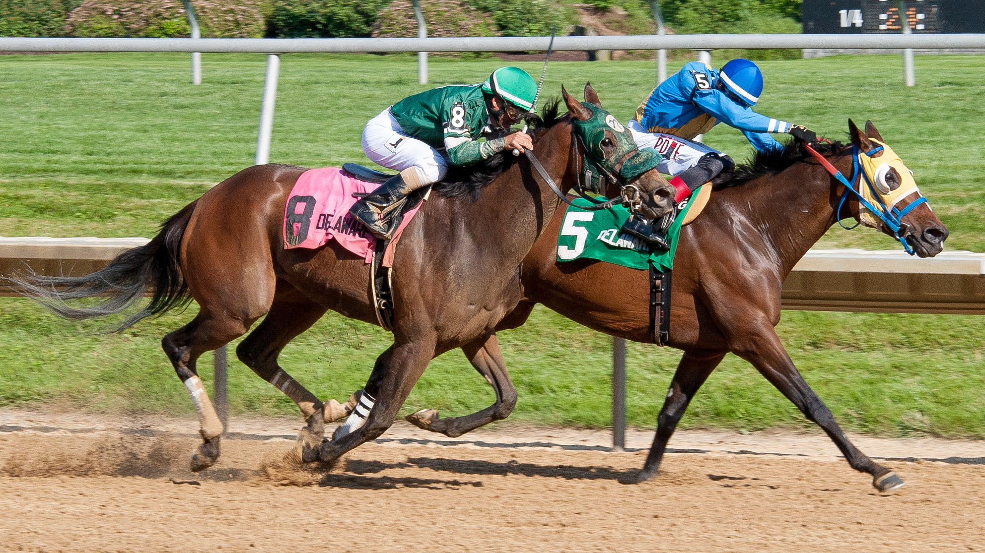 Martini Glass finishes second in the 2017 Obeah Stakes
