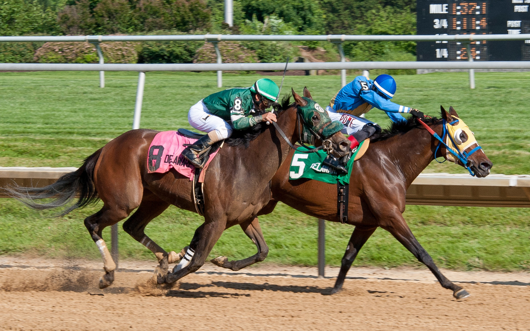 Power of Snunner wins the 2017 Obeah Stakes