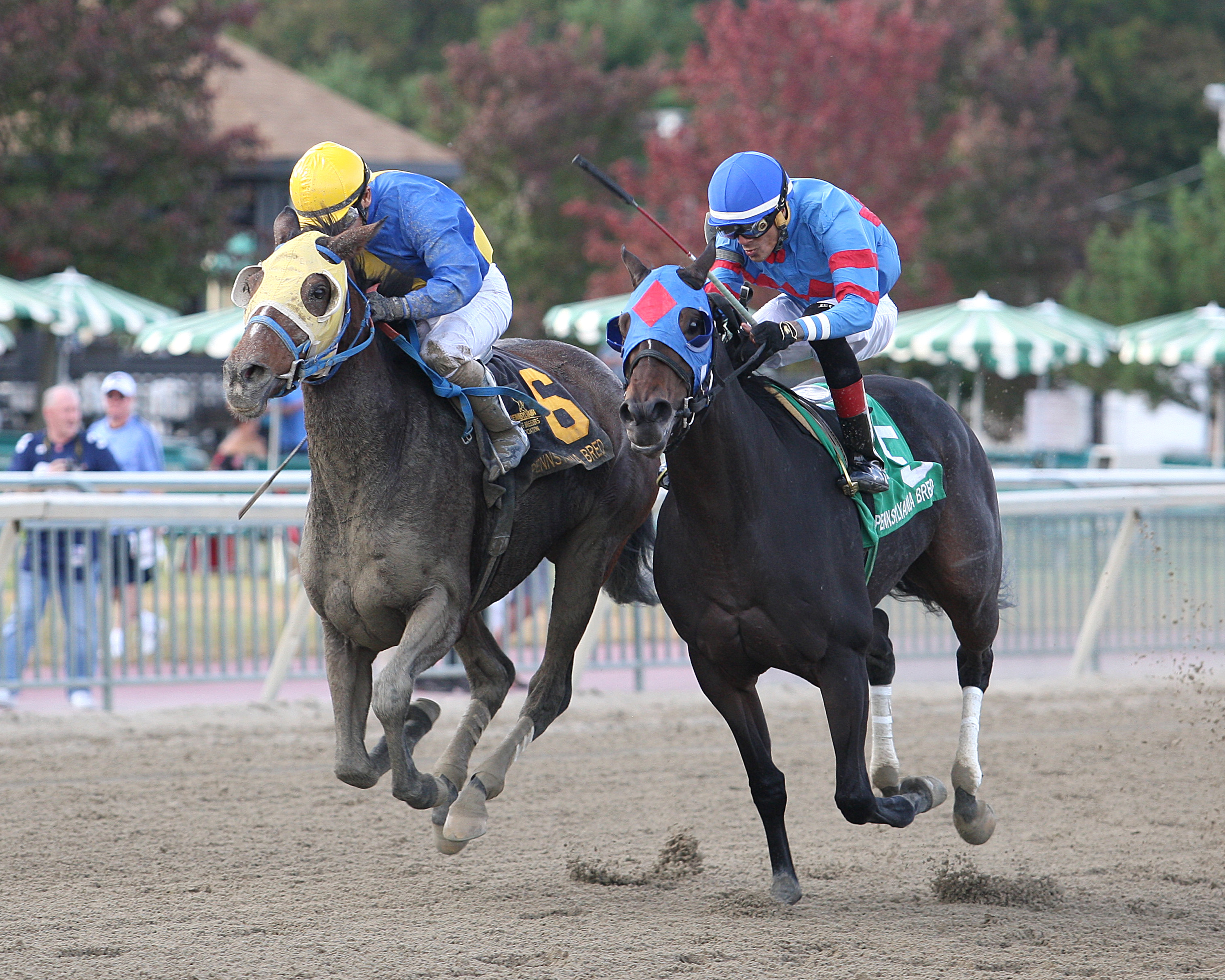 Power of Snunner wins the 2017 Plum Pretty Stakes.