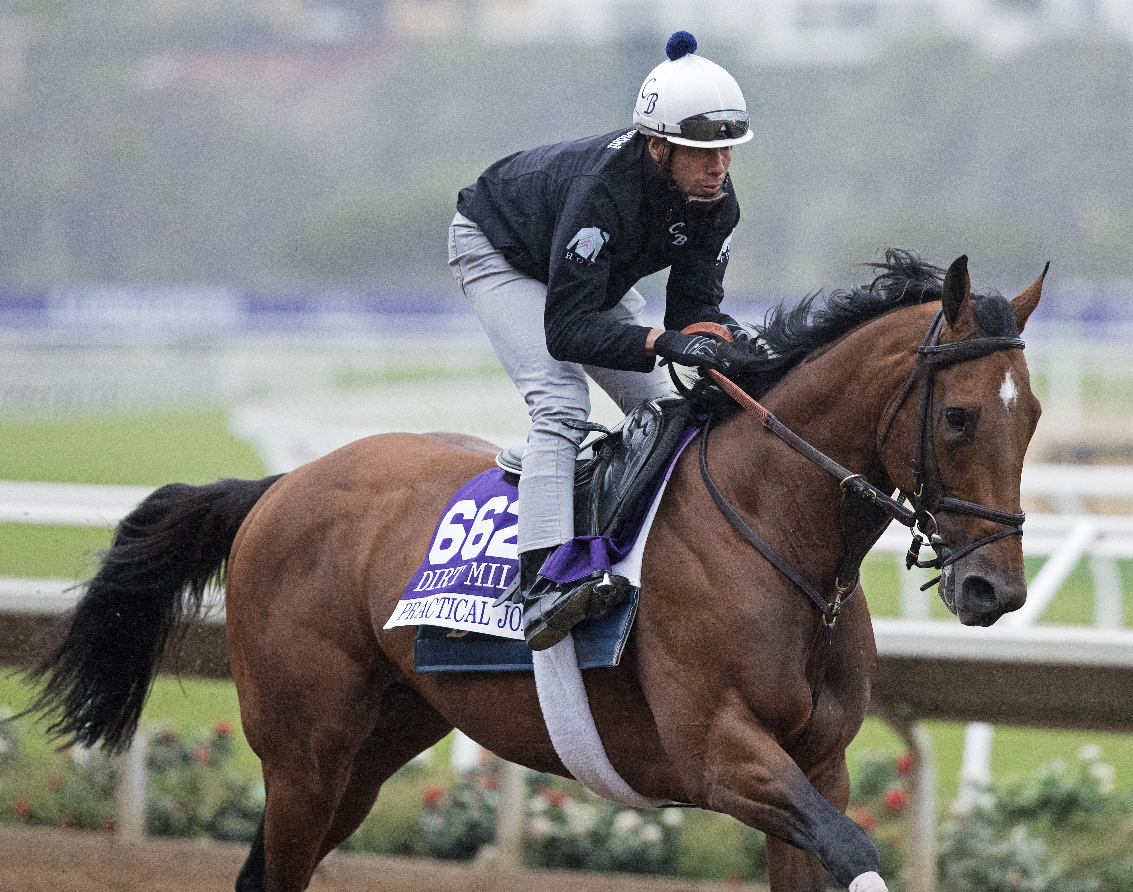 Practical Joke at Del Mar on Oct. 31