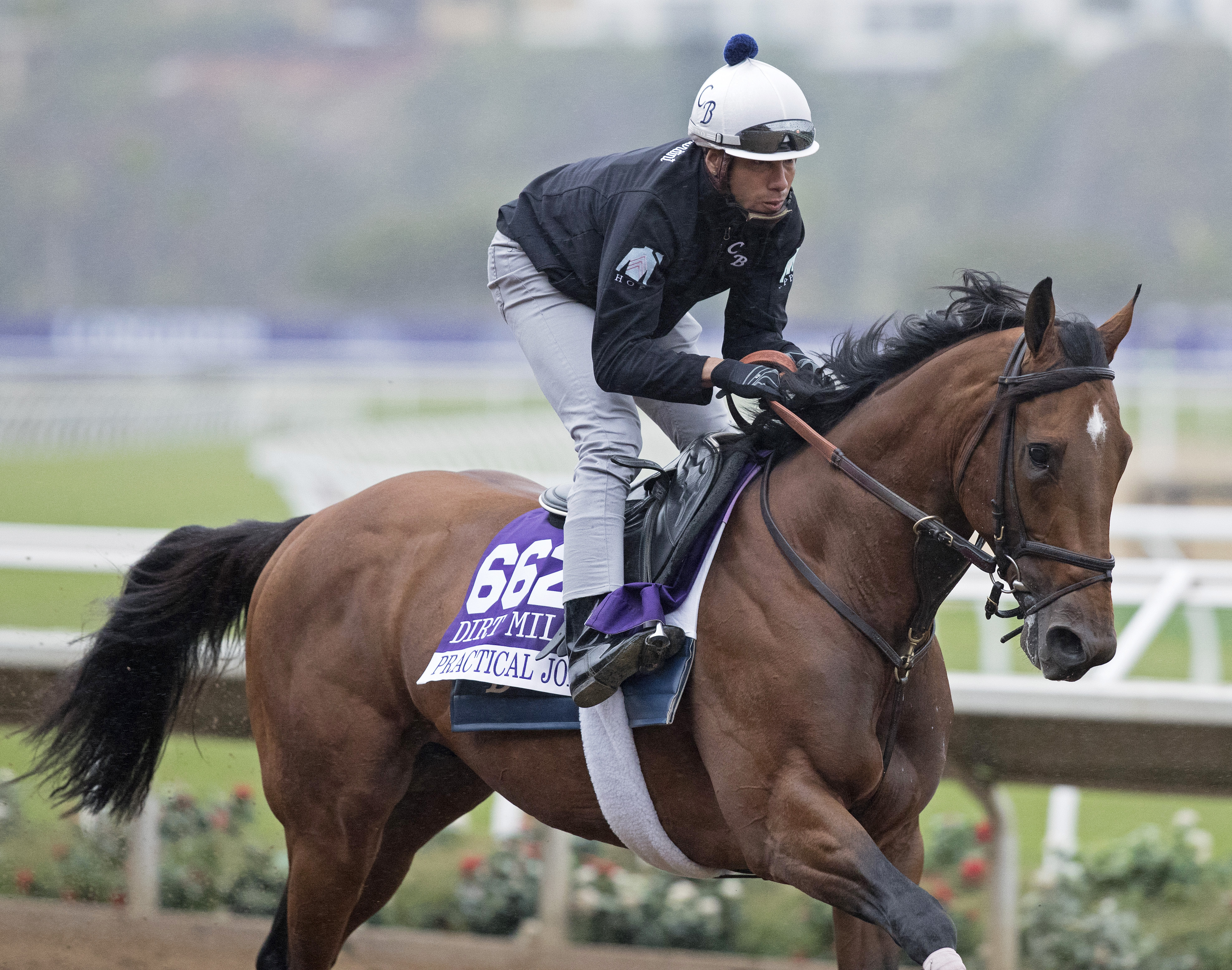 Practical Joke at Del Mar on Oct. 31