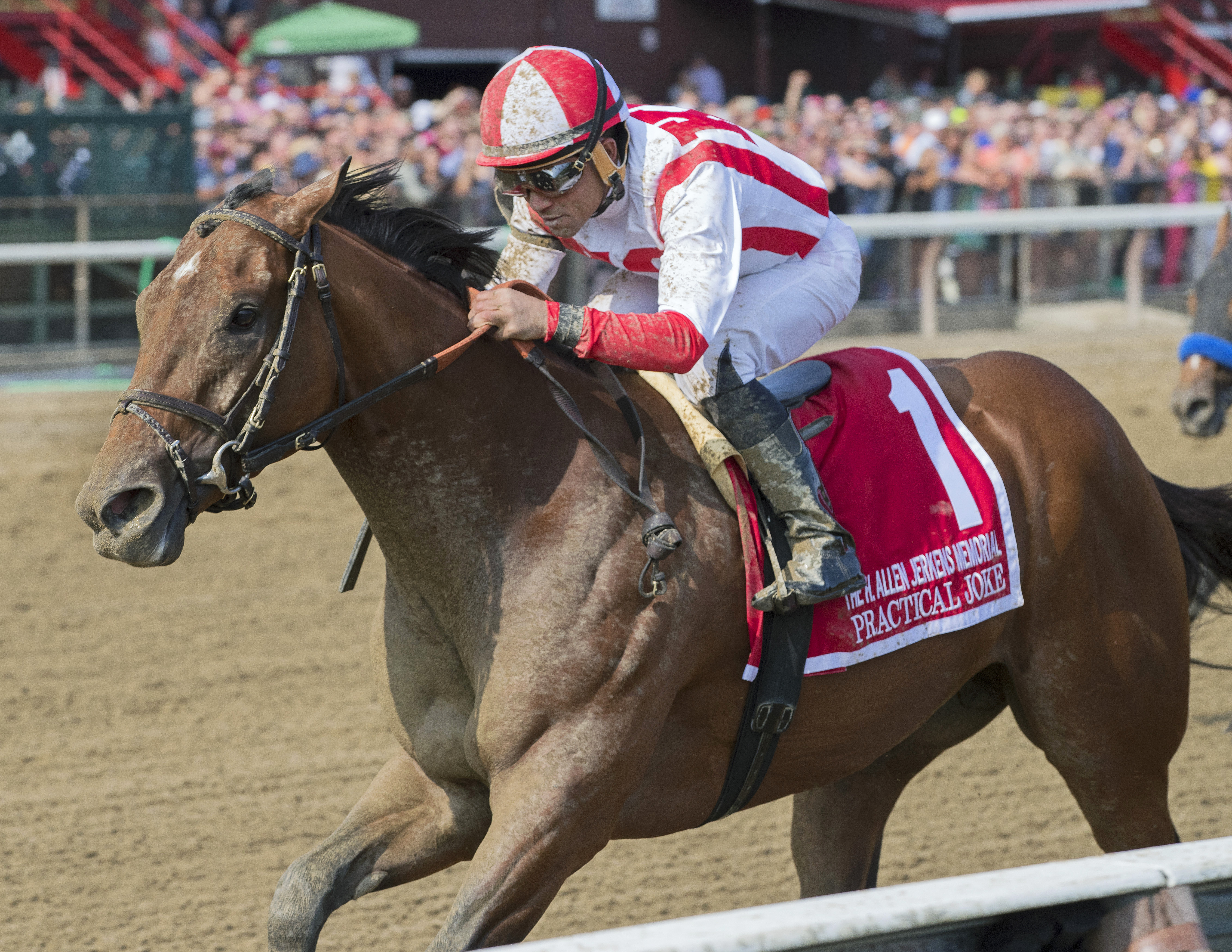 Practical Joke wins the 2017 Allen Jerkens Stakes