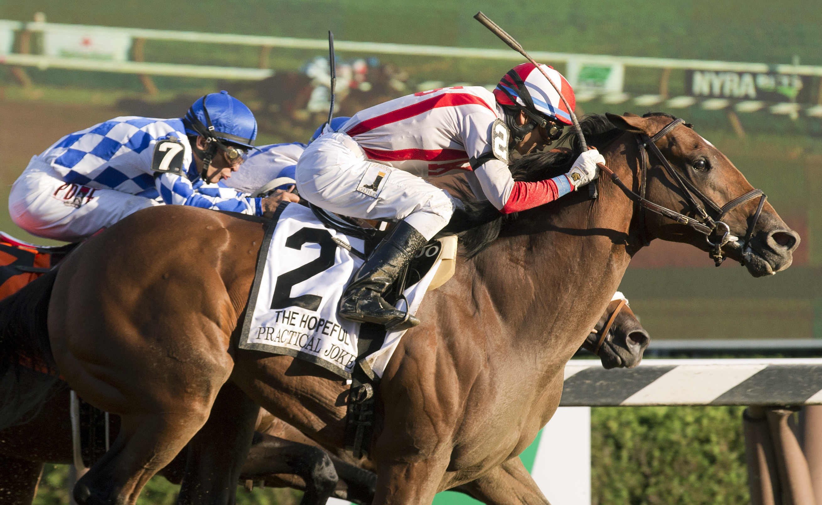 Practical Joke wins the Hopeful