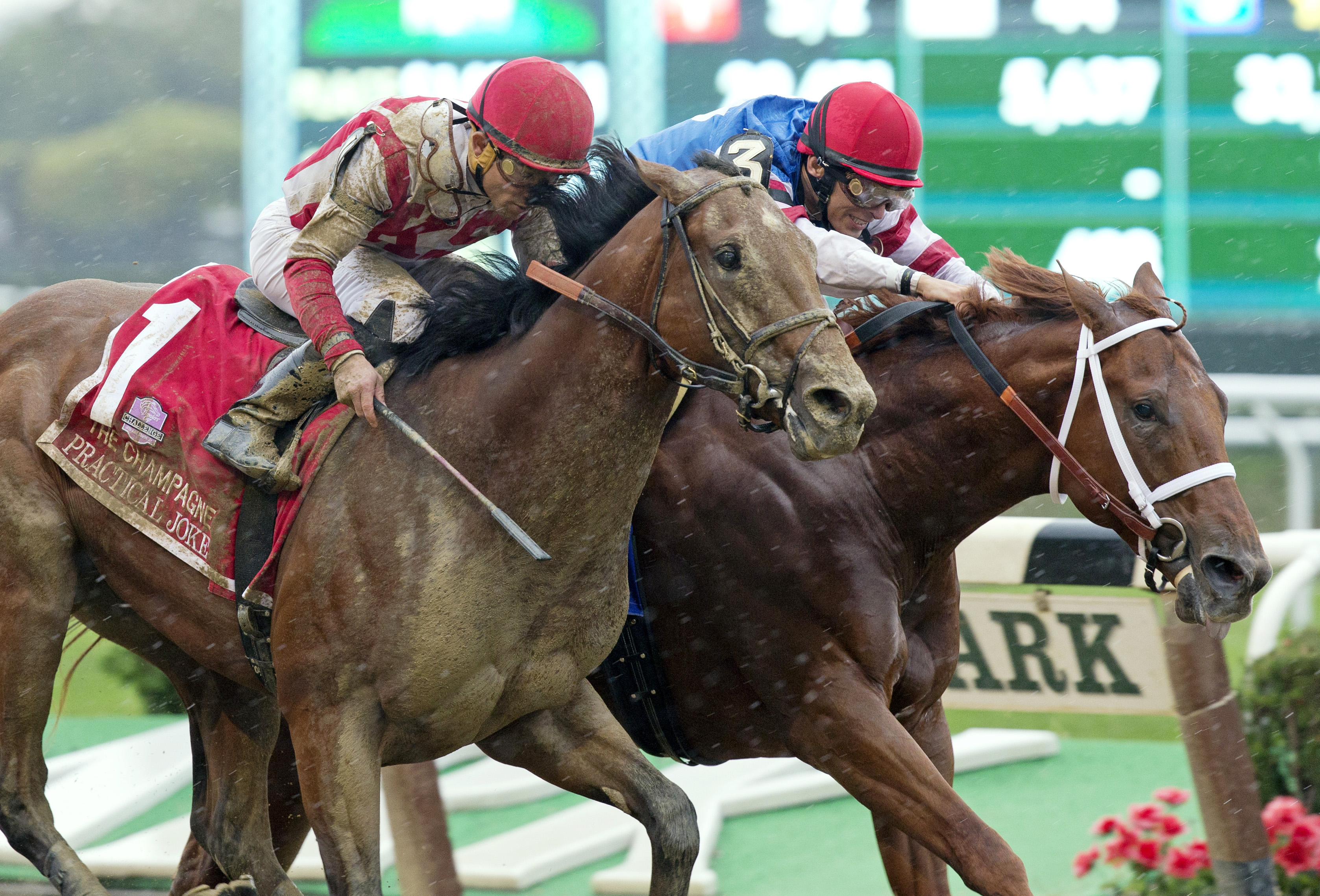 Practical Joke wins the Champagne Stakes