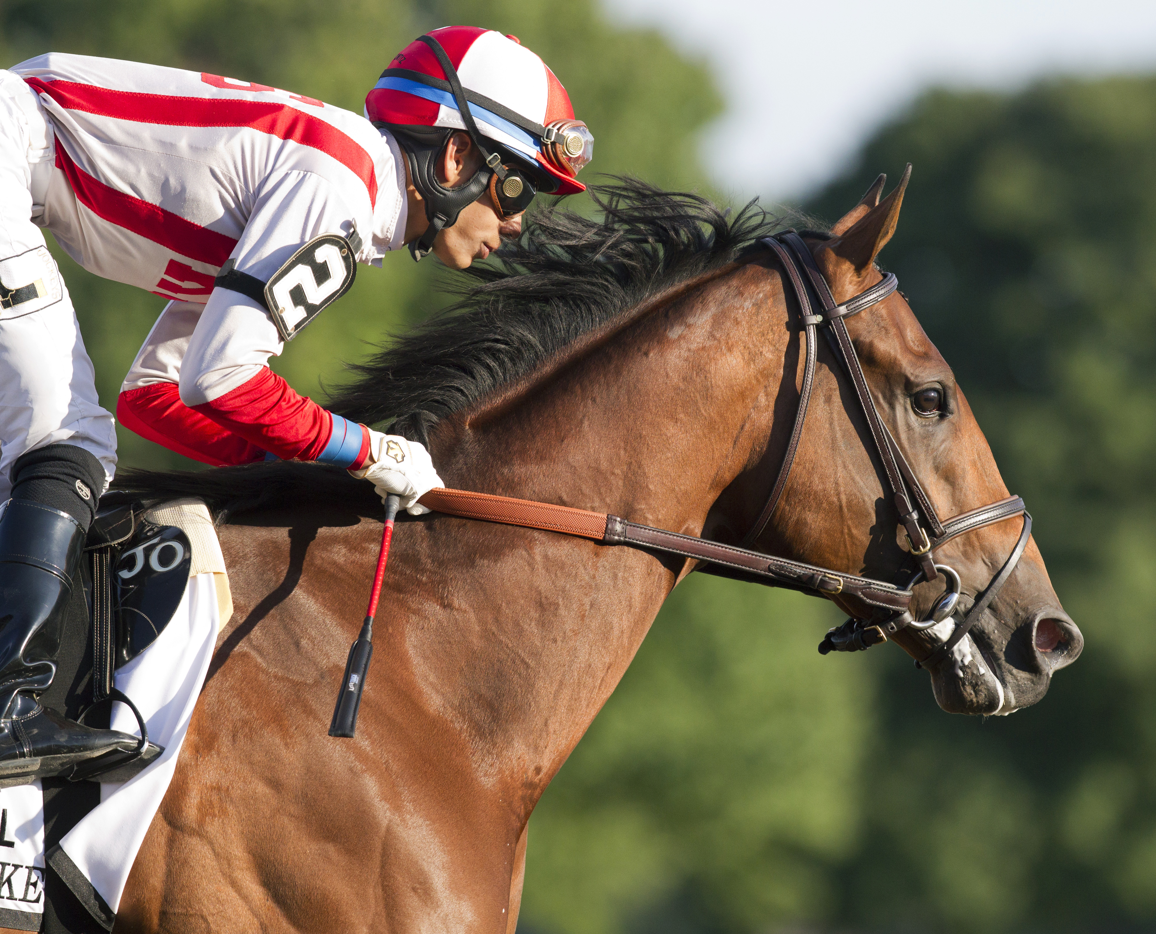 Practical Joke wins the Hopeful