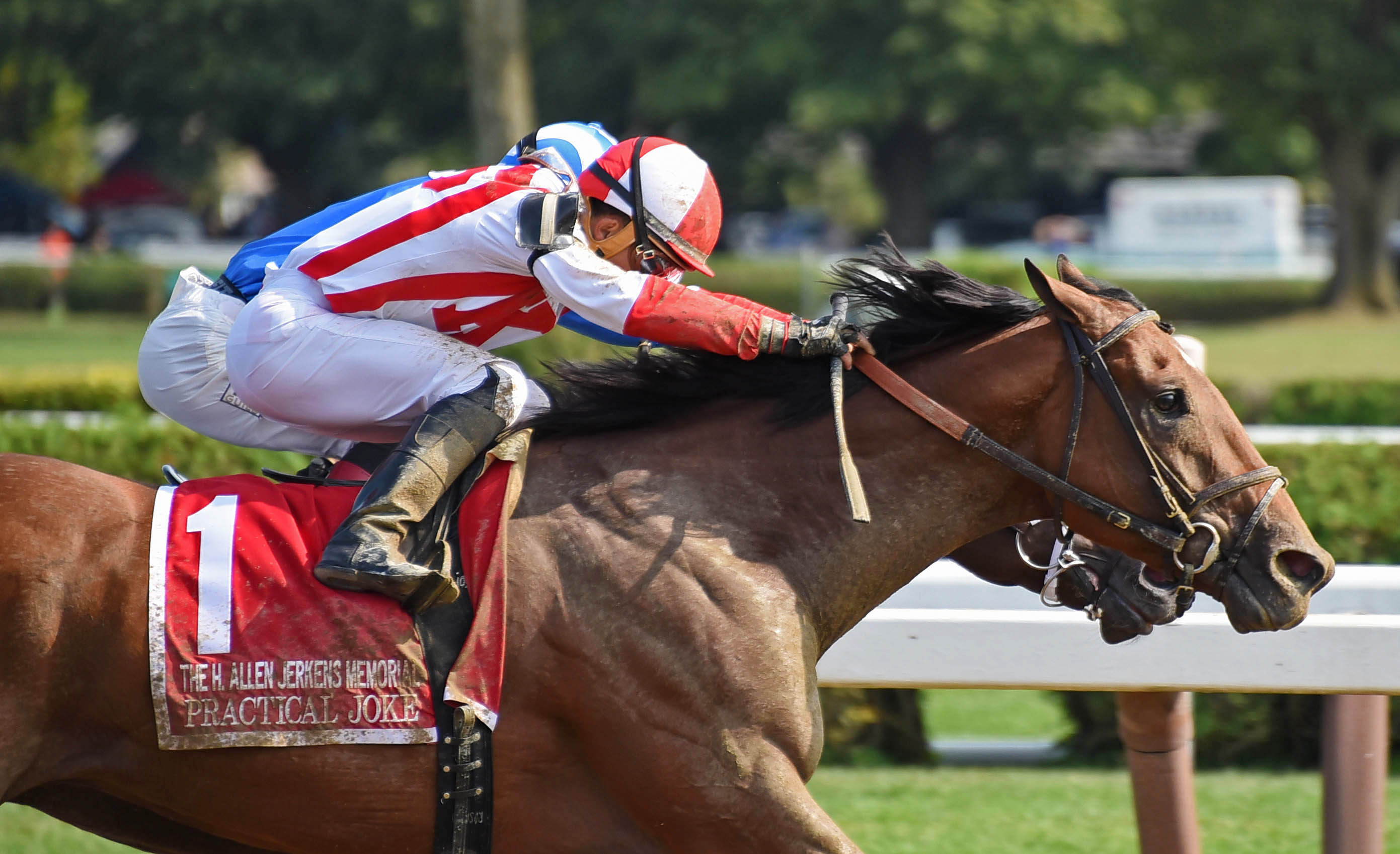 Practical Joke wins the 2017 Allen Jerkens Memorial