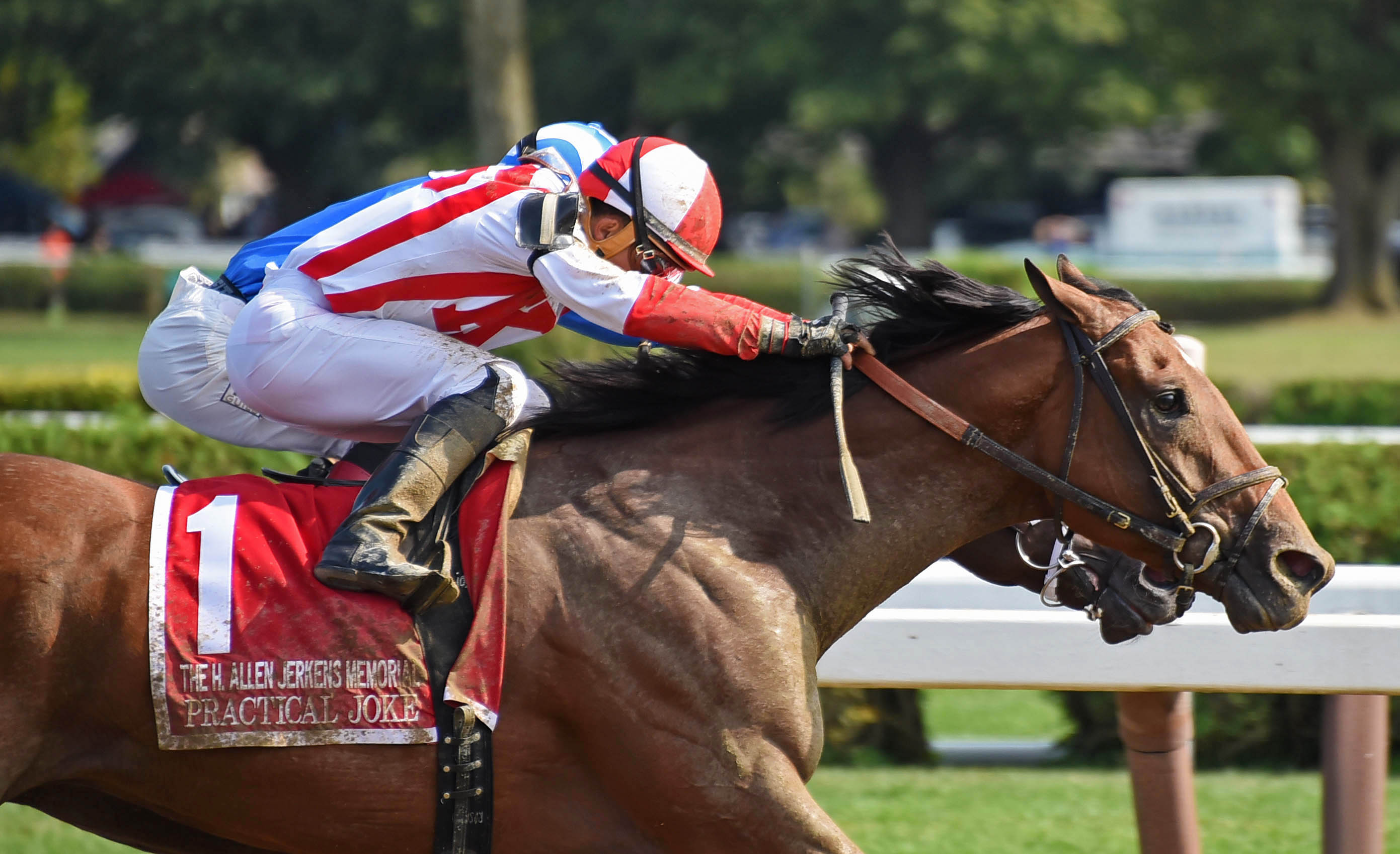 Practical Joke wins the 2017 H. Allen Jerkens Stakes