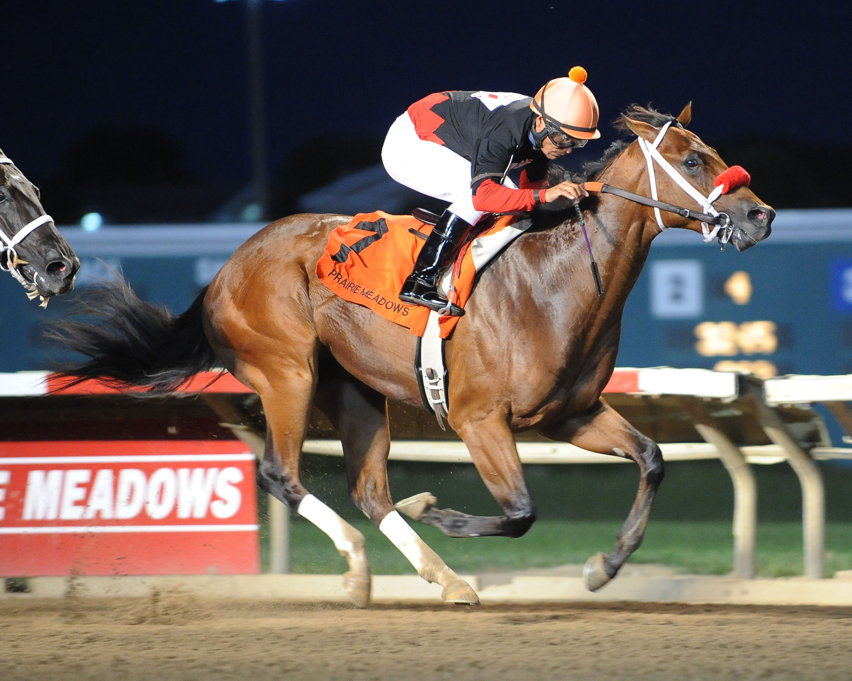 Stormation wins 2015 Prairie Gold Juvenile