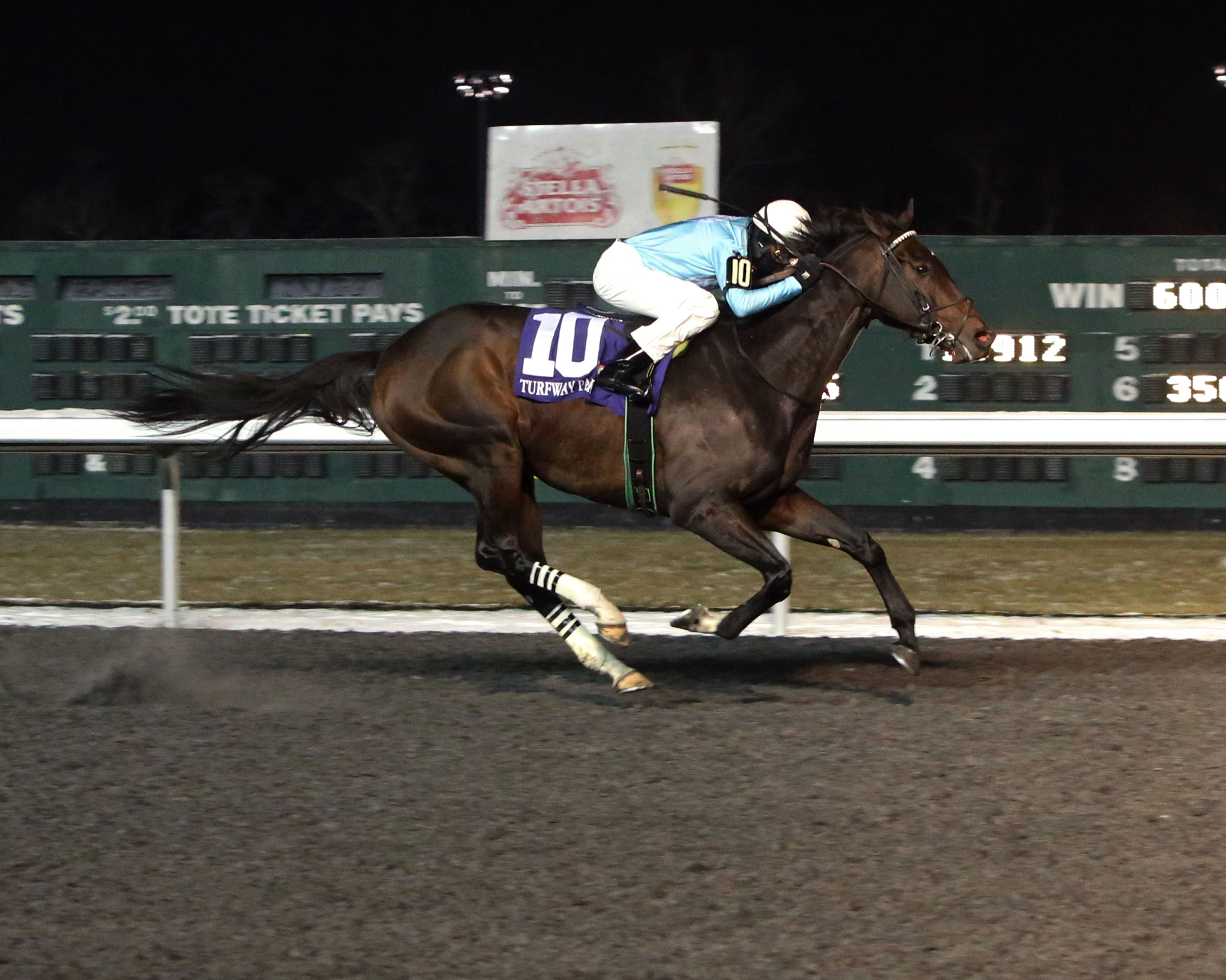 Royal Son/Prairie Bayou