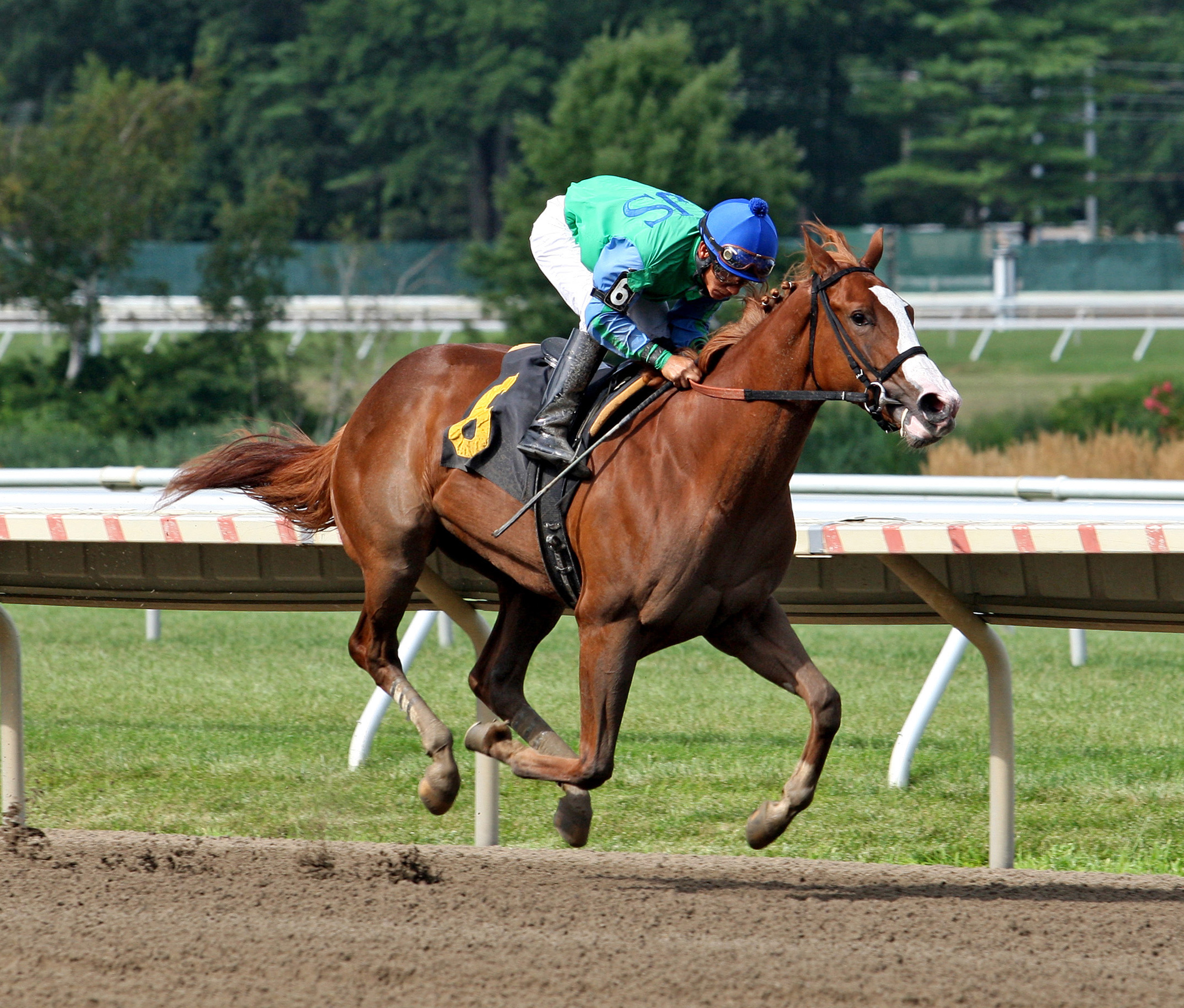 Pray a Novena/debut win