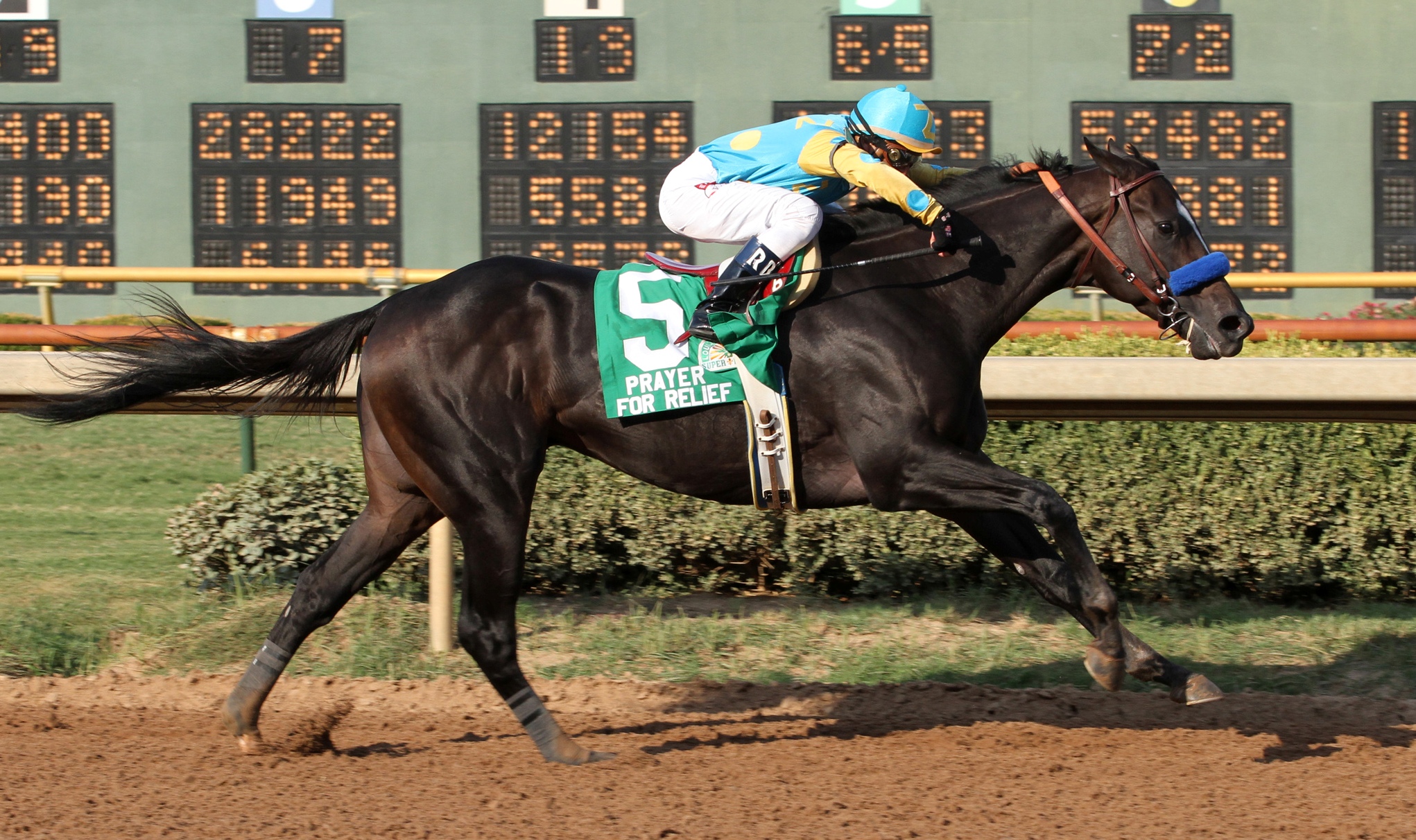 Prayer for Relief, 2011 Super Derby