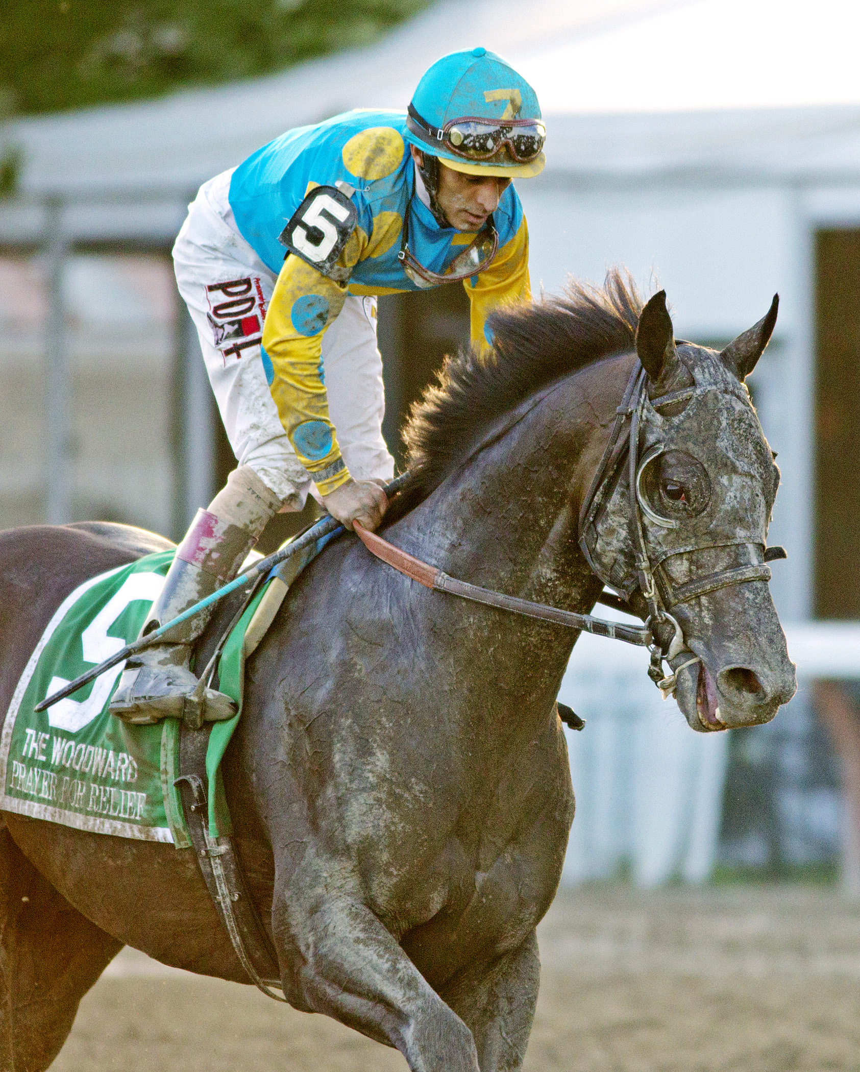 Prayer for Relief finishes third in the Woodward Stakes
