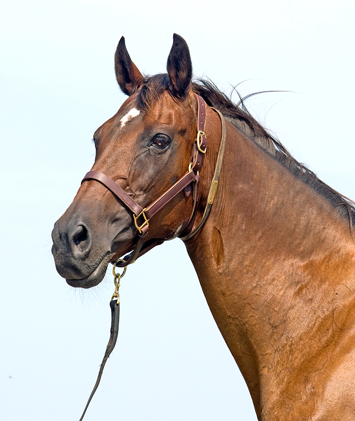 Preach at Claiborne Farm in 2010