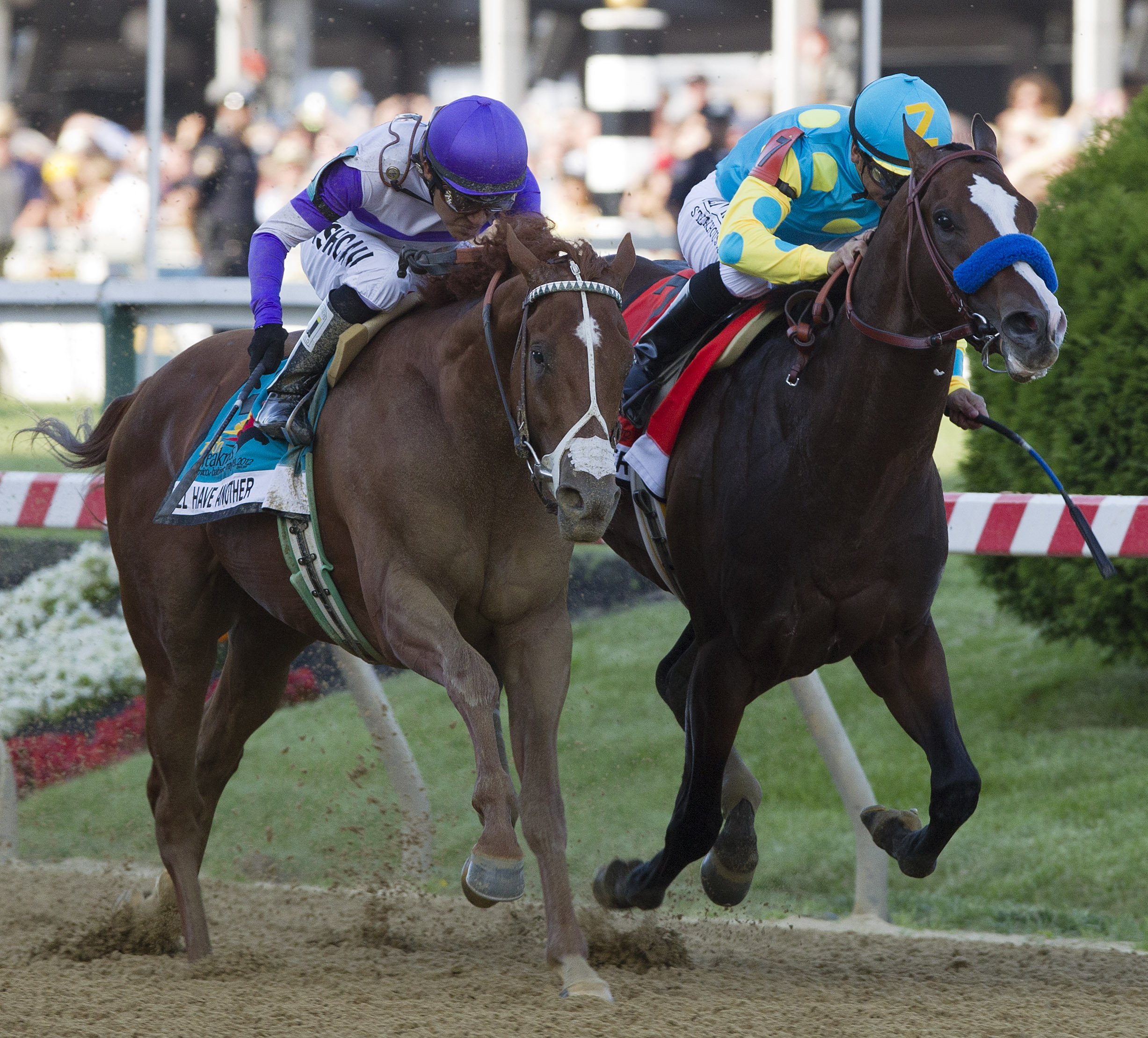 I'll Have Another/Preakness finish
