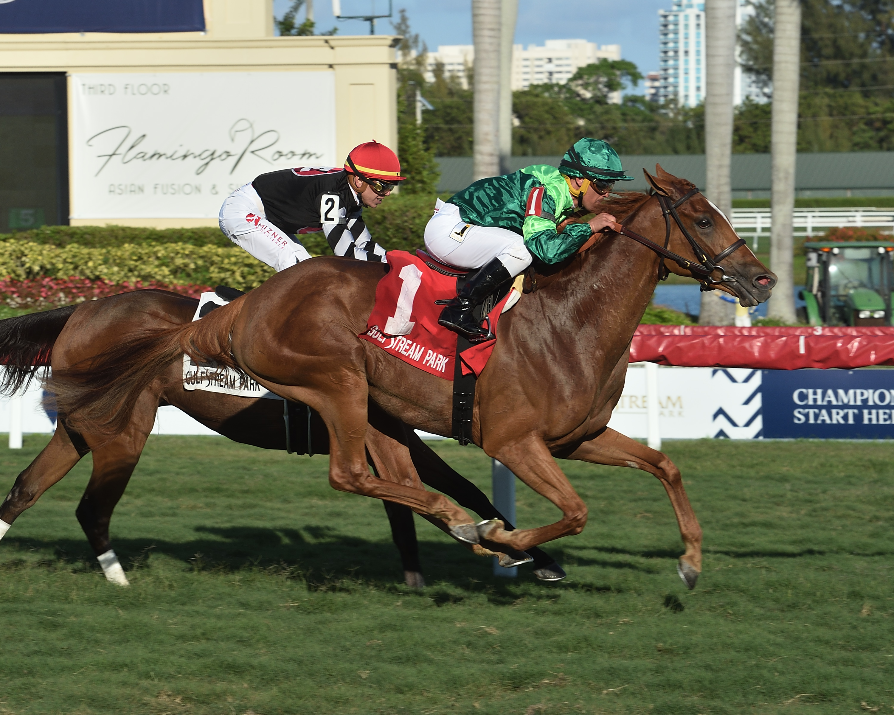 Precieuse wins the 2019 Honey Fox