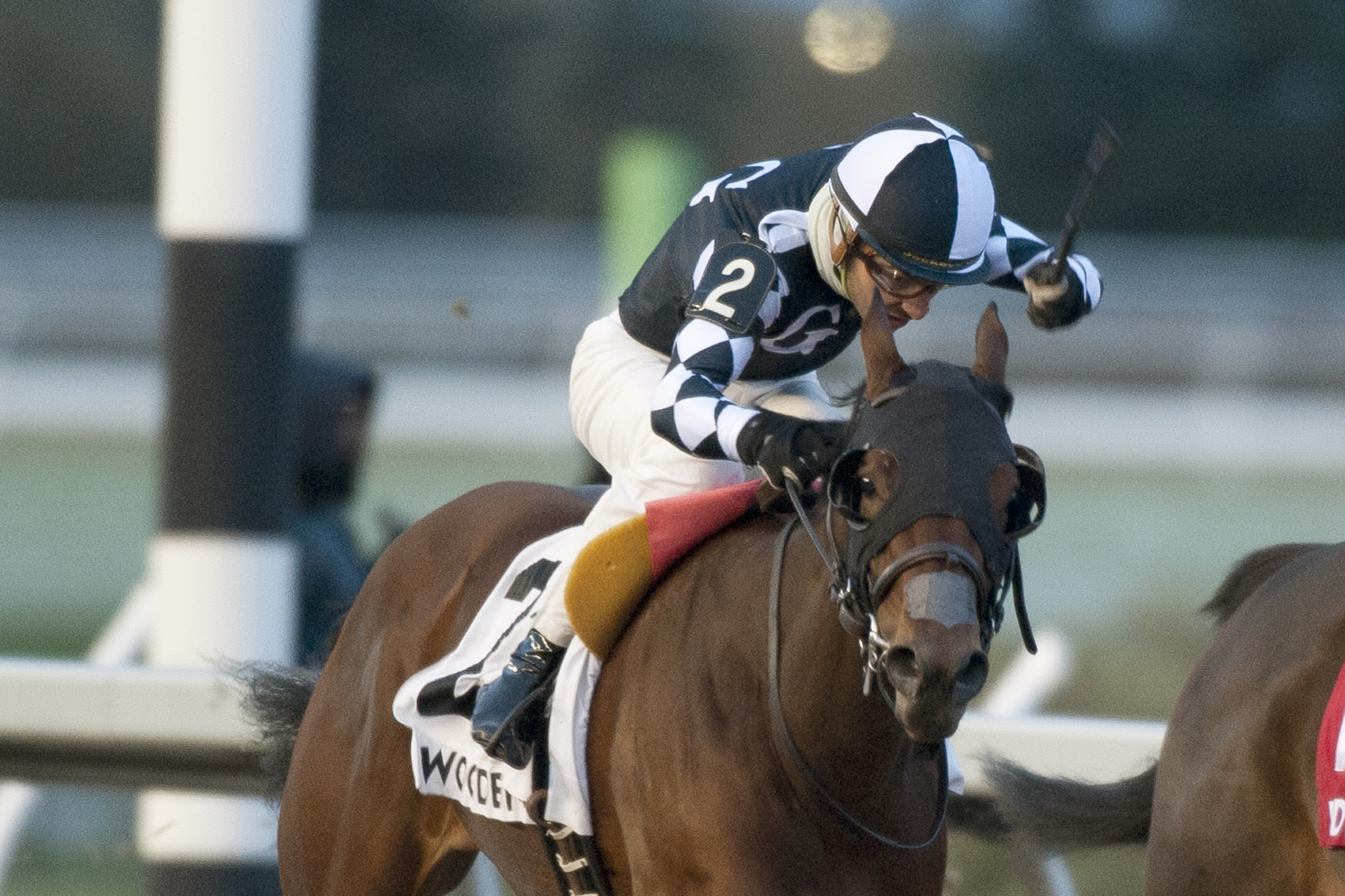 Preferred Guest wins the 2018 South Ocean Stakes