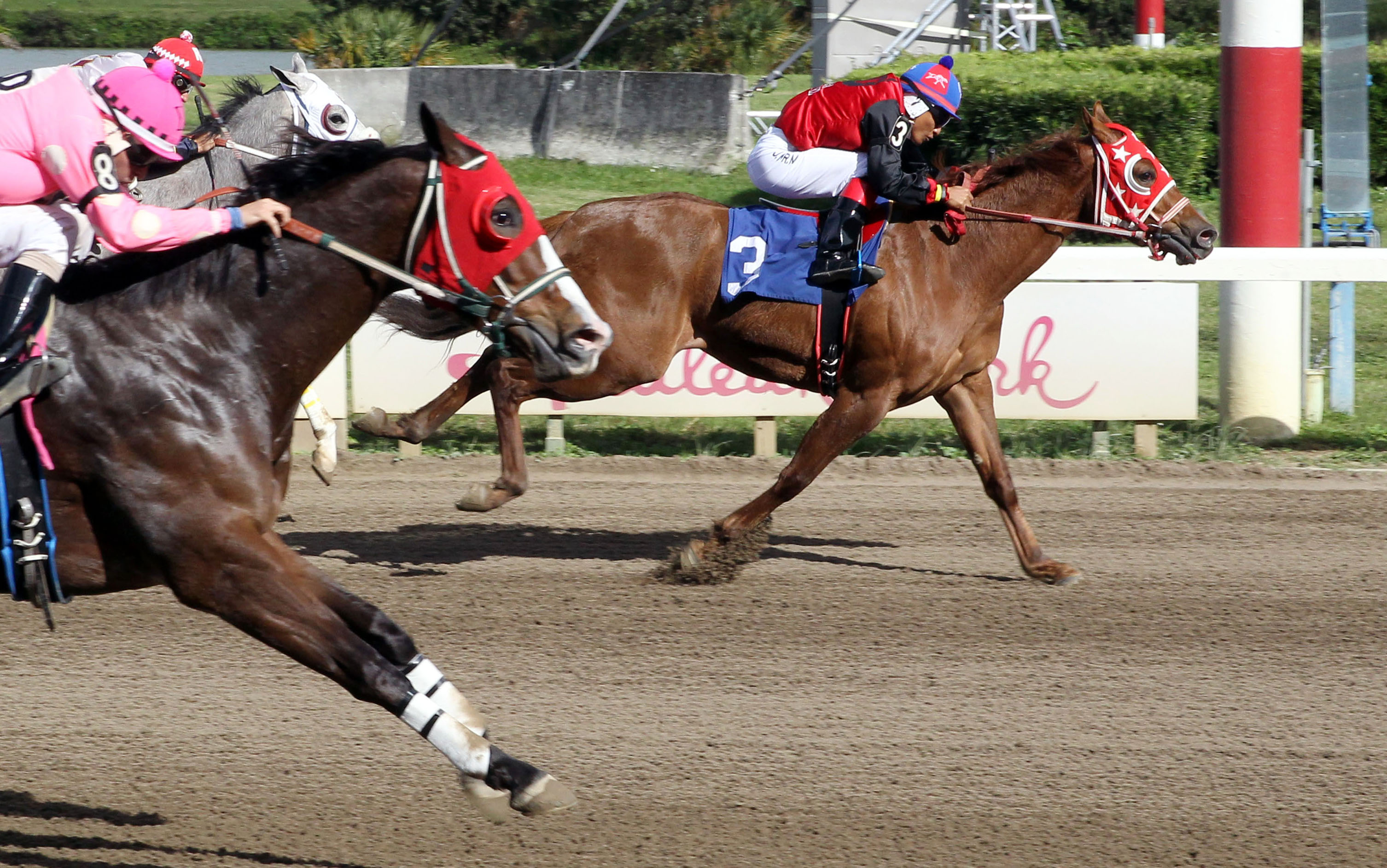 Premier Ethics wins a Sunshine State Derby Trial