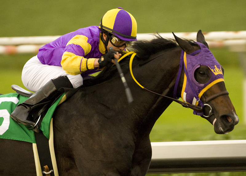 Premier Pegasus 11-20-2010