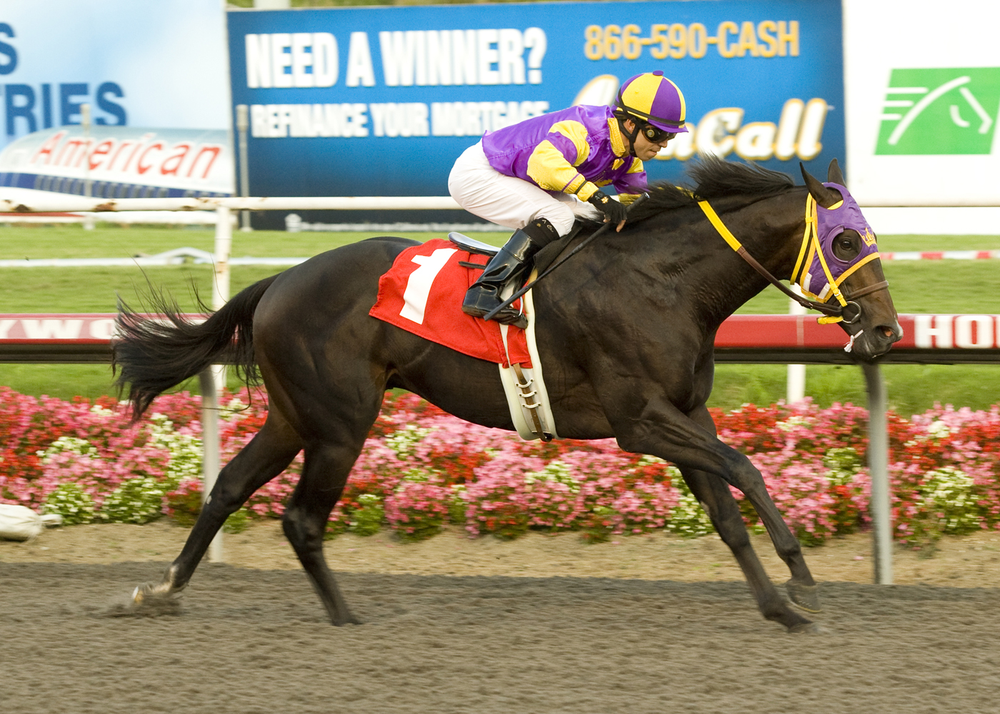 Premier Pegasus