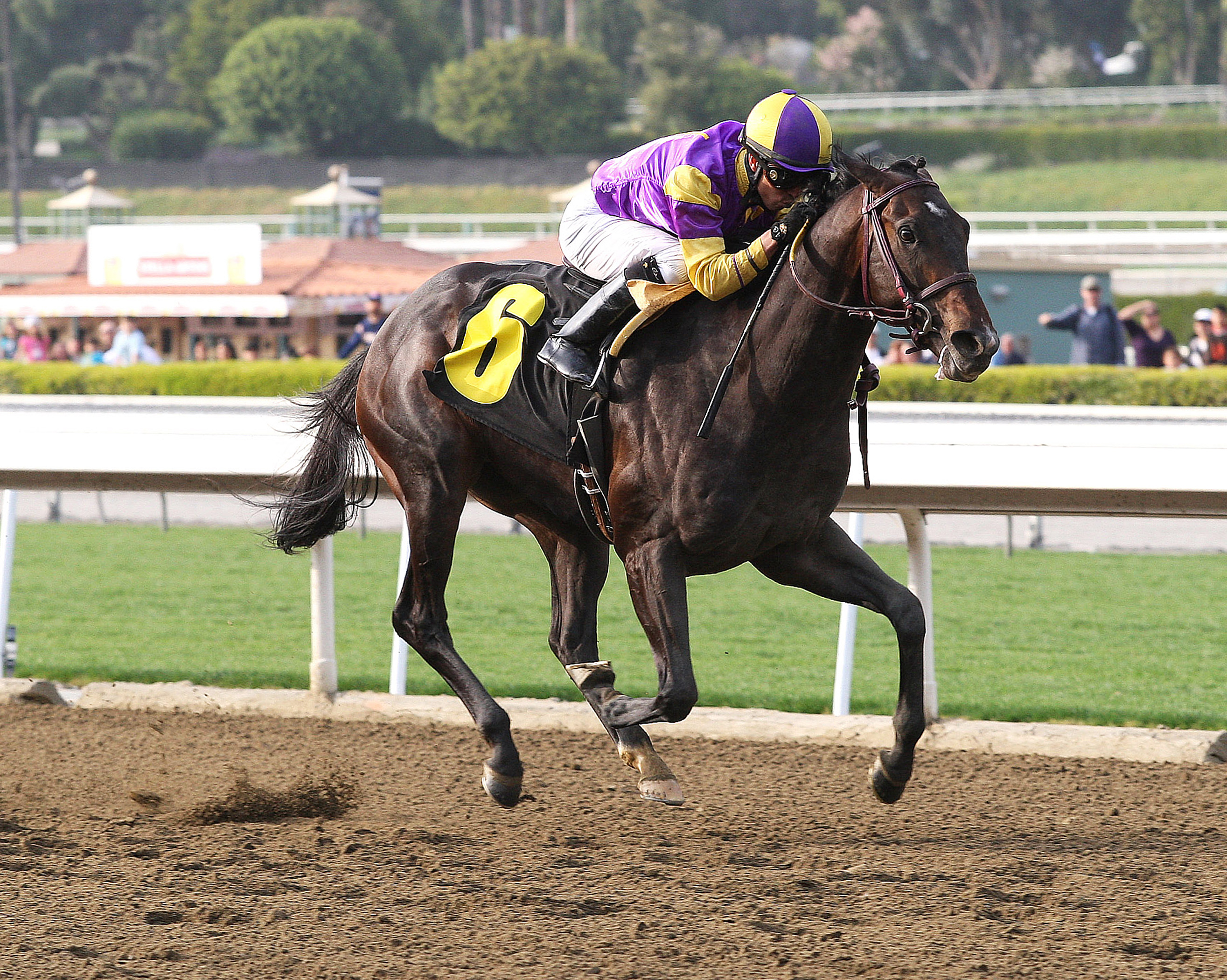 Premier Pegasus wins San Felipe