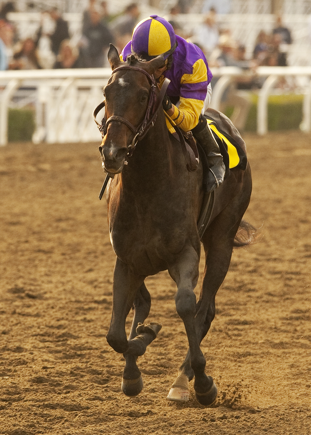 Premier Pegasus/San Felipe