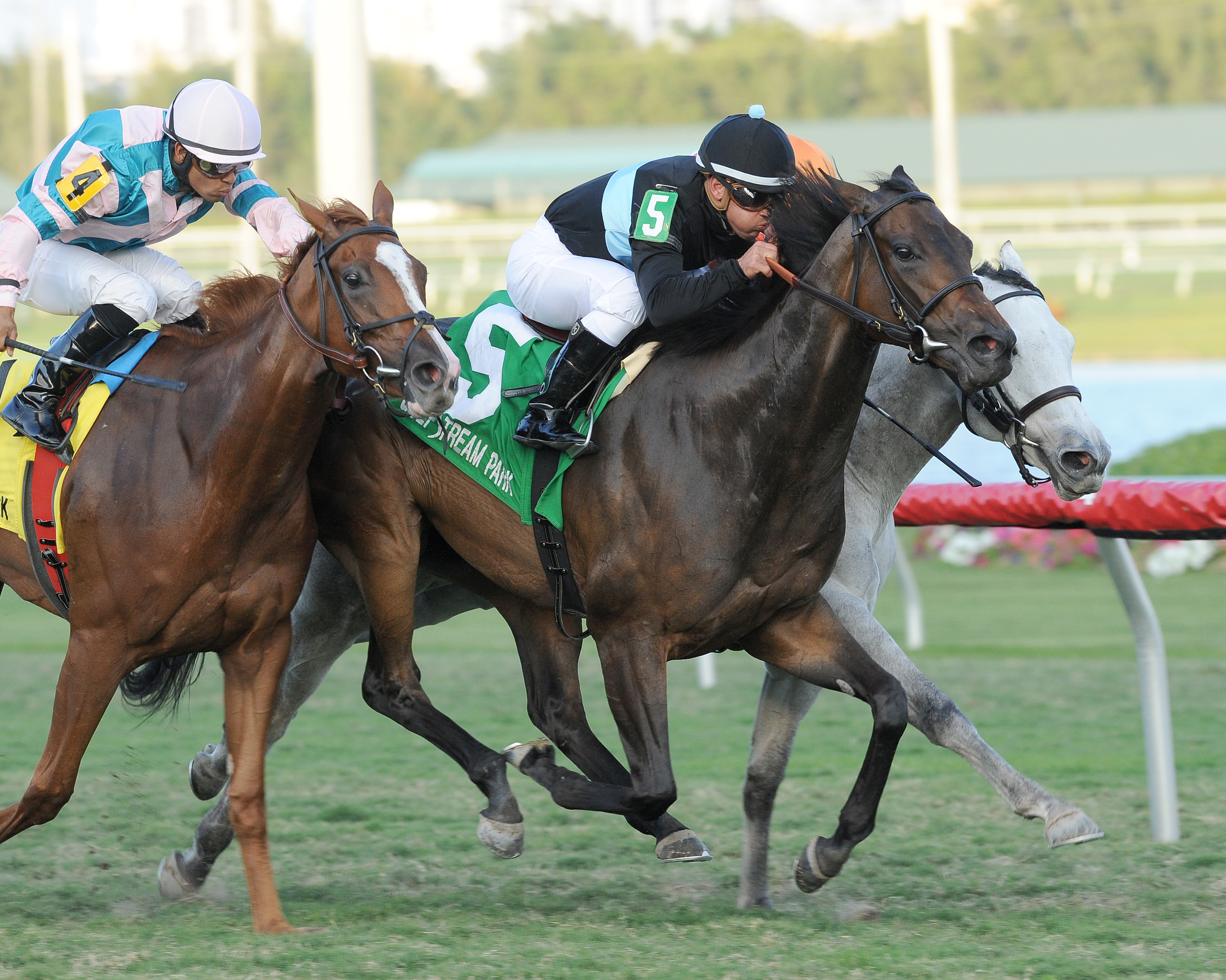 Premier Steps wins the 2013 Sweetest Chant