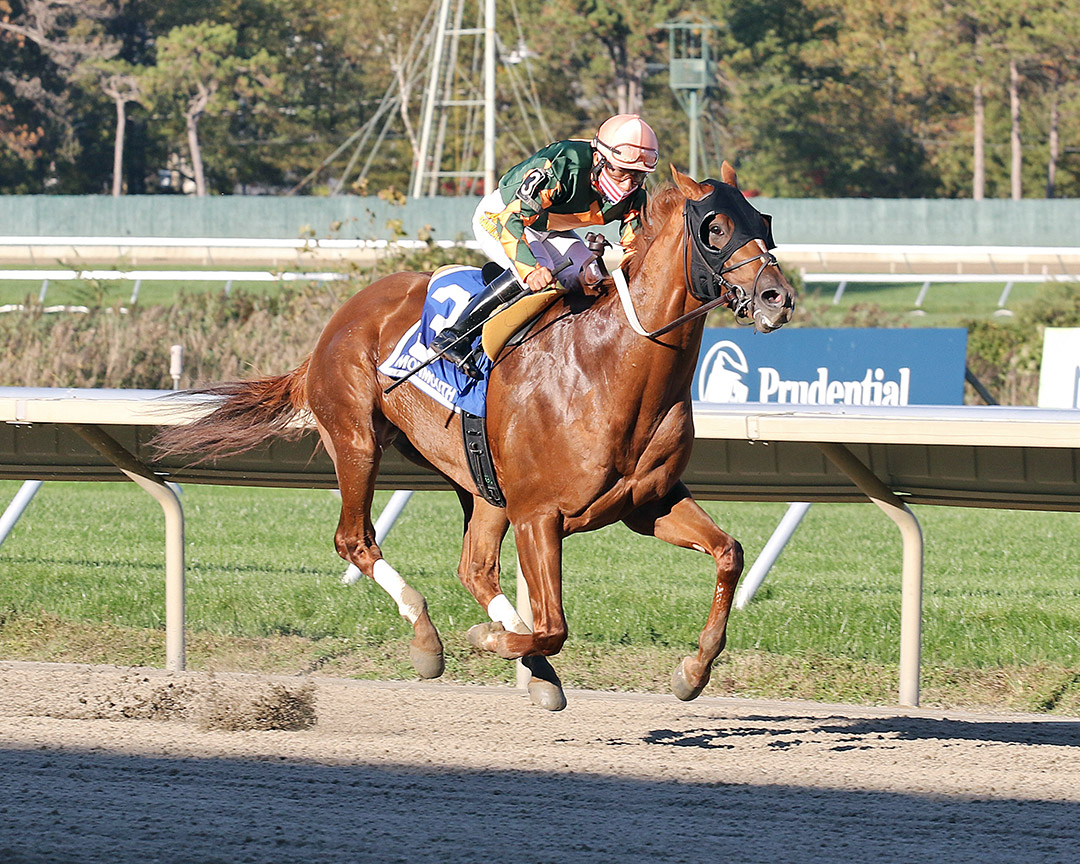 Premier Star wins the 2020 Jersey Shore Stakes at Monmouth Park