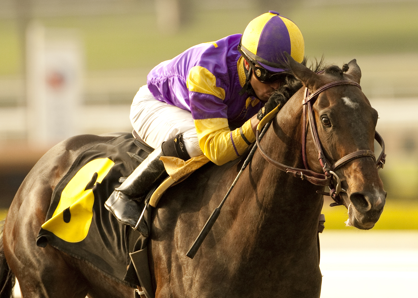 Premier Pegasus, San Felipe
