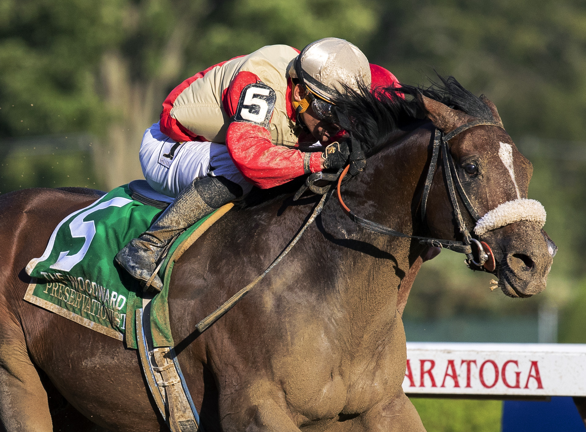 Preservationist wins the 2019 Woodward Stakes