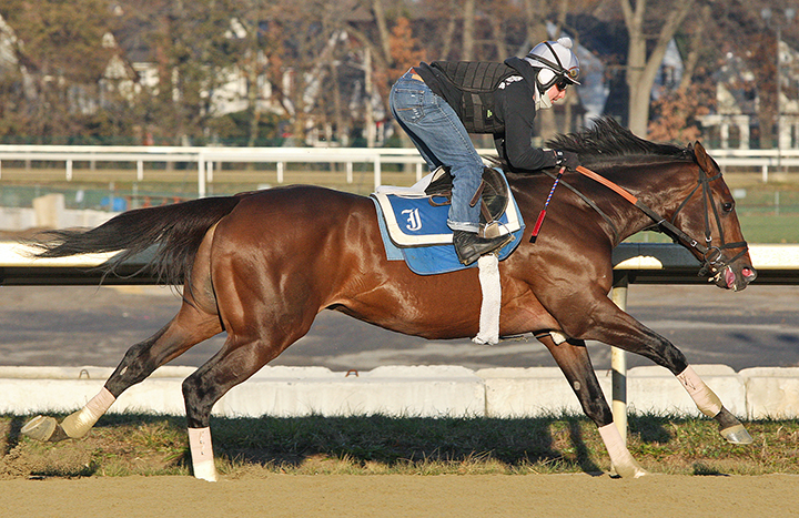 Preservationist trains at the Belmont Park training track in December 2018