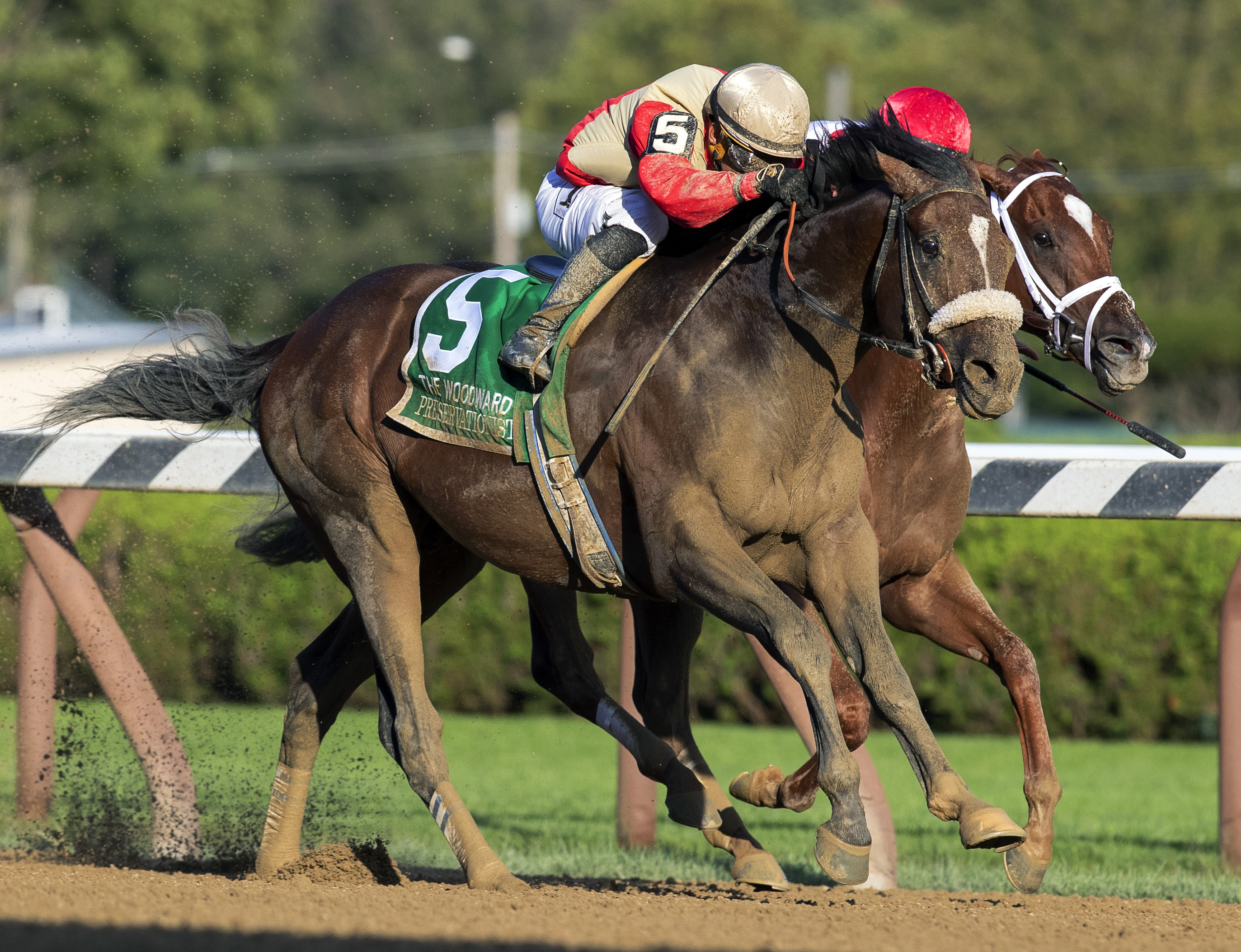 Preservationist wins the 2019 Woodward Stakes