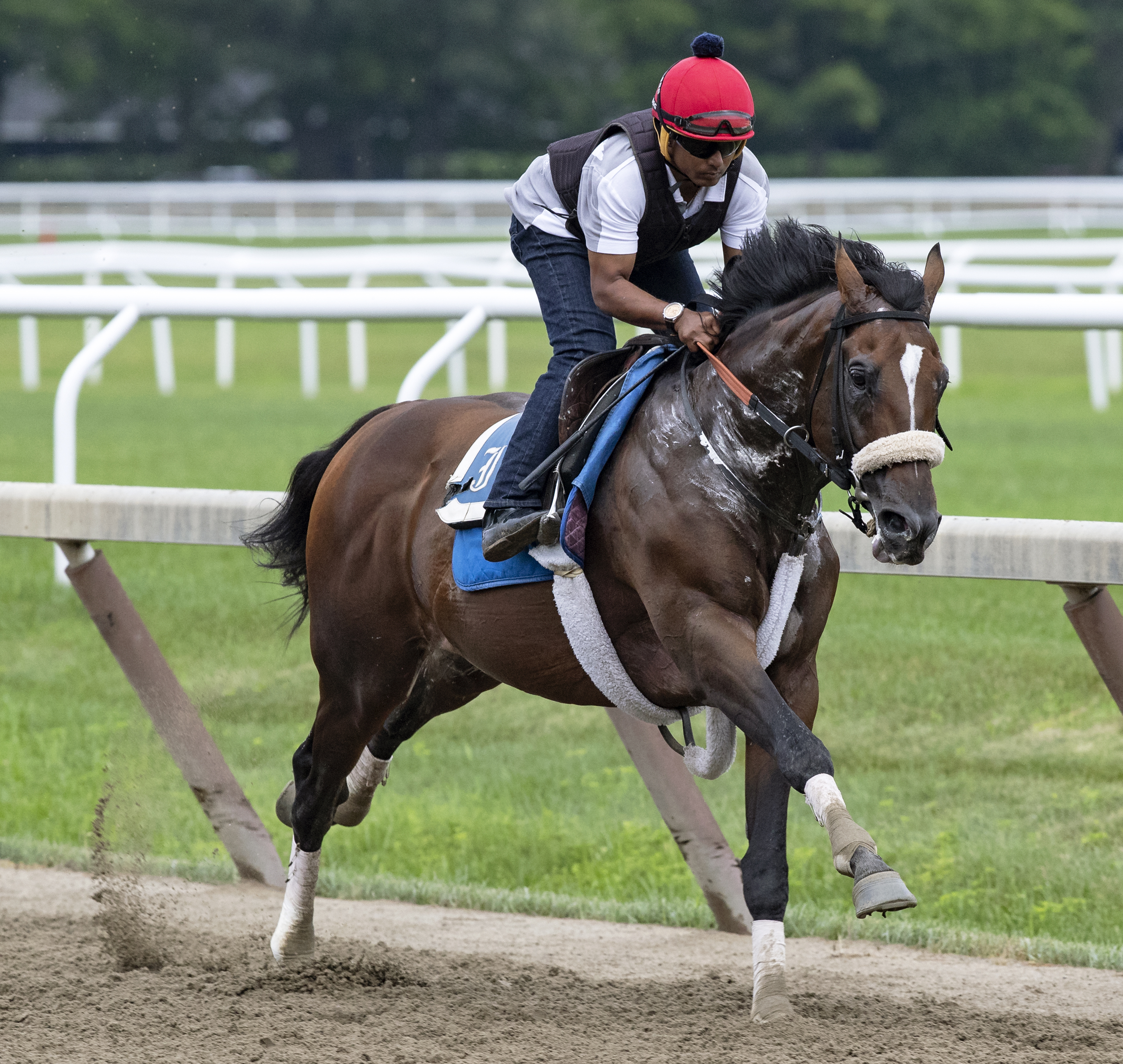 Preservationist works at Saratoga on 7.19.19